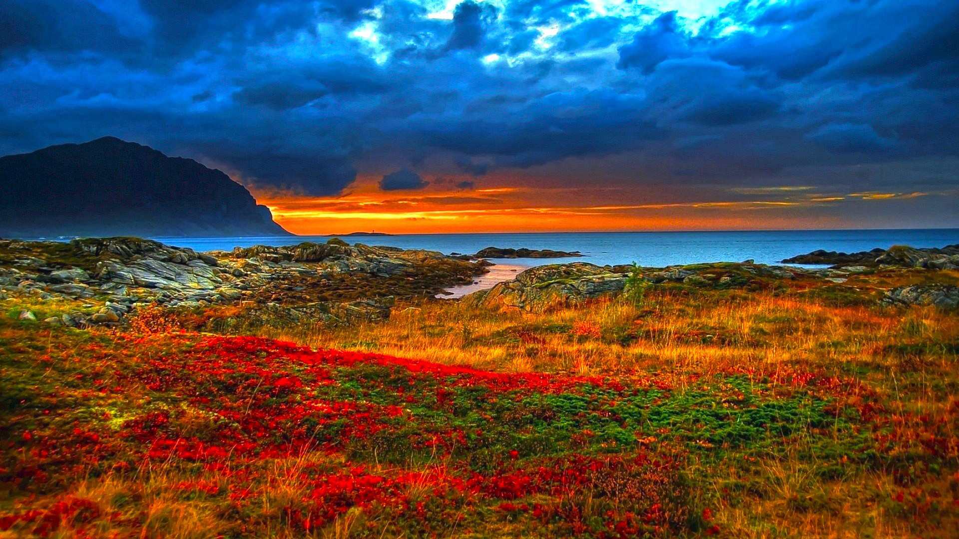 1920x1080 Natural Beauty Of Nature Wallpaper HD