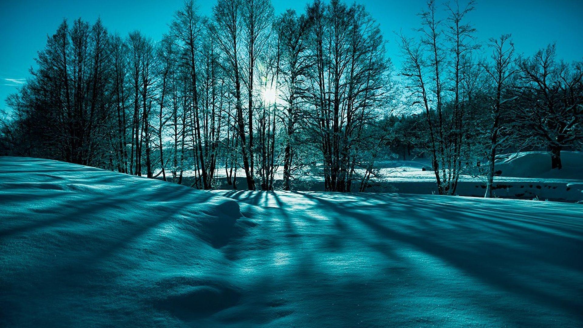 1920x1080 Fantastic Winter Scenery wallpaperx1080