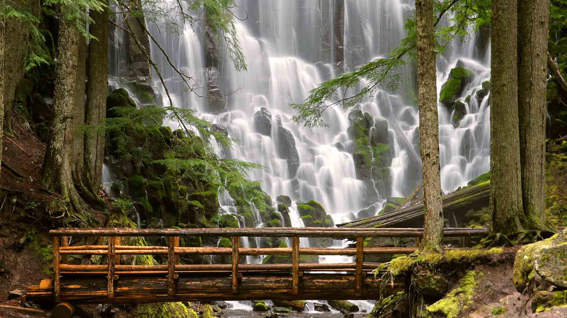 1920x1080 Nature Wallpaperto5animations.com Wallpaper, Gifs