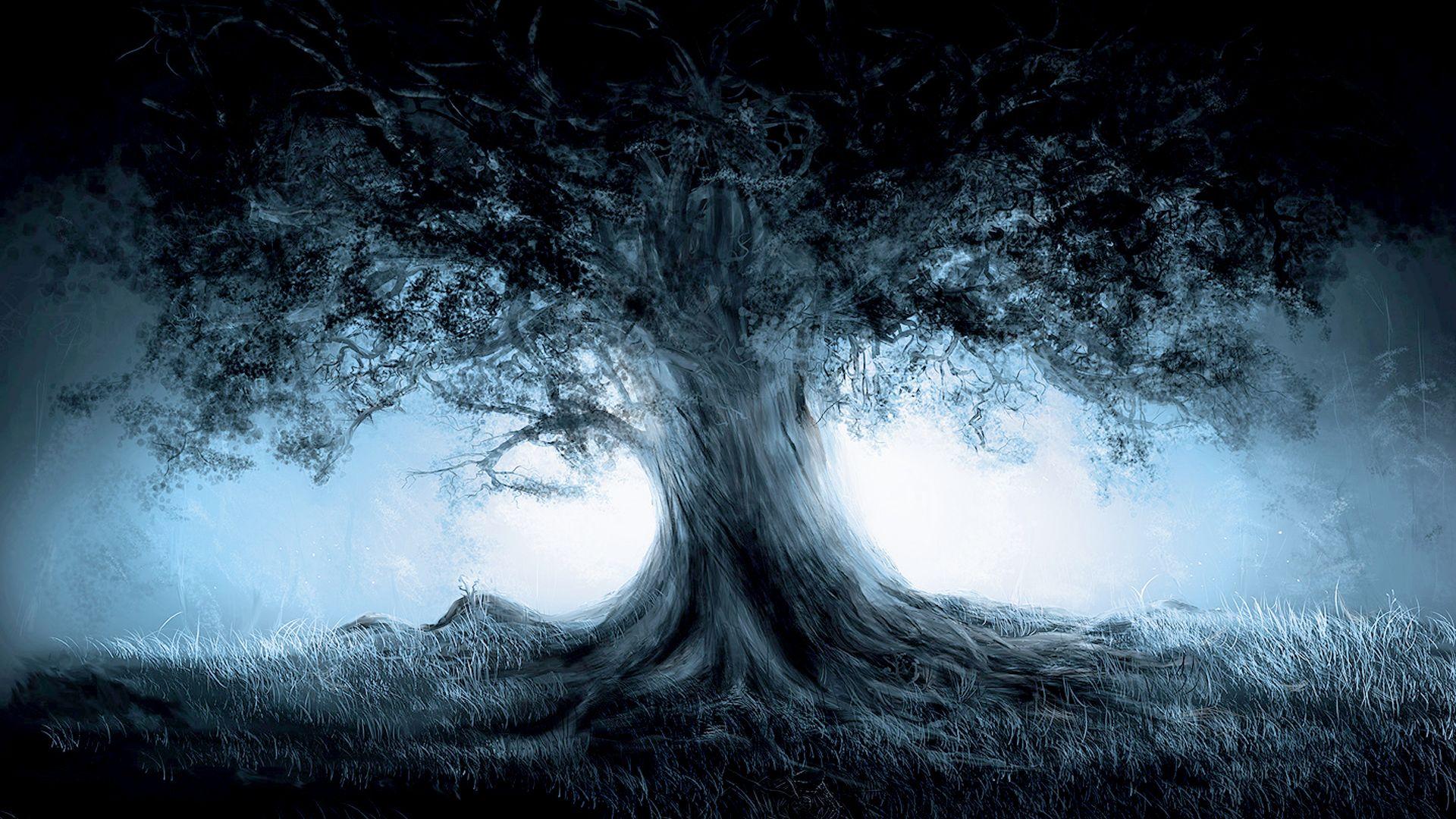1920x1080 Free download Wallpaper Tree Mist Fantastic Wallpaper HD Desktop [1920x1080] for your Desktop, Mobile & Tablet. Explore Fantastic Desktop Background. Fantastic Four Wallpaper for Desktop, Amazing Full Screen Wallpaper