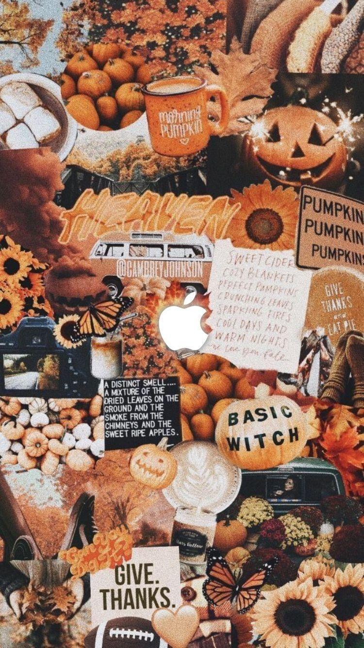 750x1335 Fall Wallpaper With Pumpkins