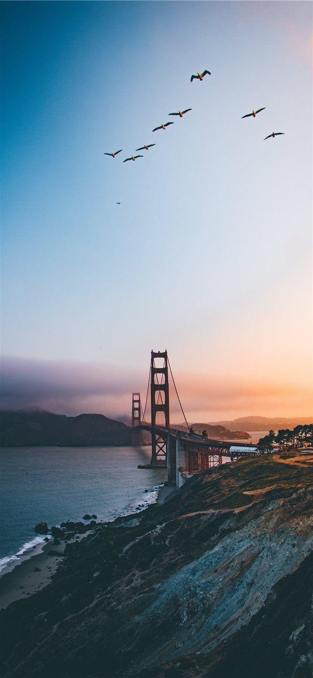 640x1385 Golden Gate Bridge United States iPhone X wallpaper #la #bridge #sky #bird # GoldenGateBridge #flock. iPhone wallpaper travel, Bridge wallpaper, Travel wallpaper