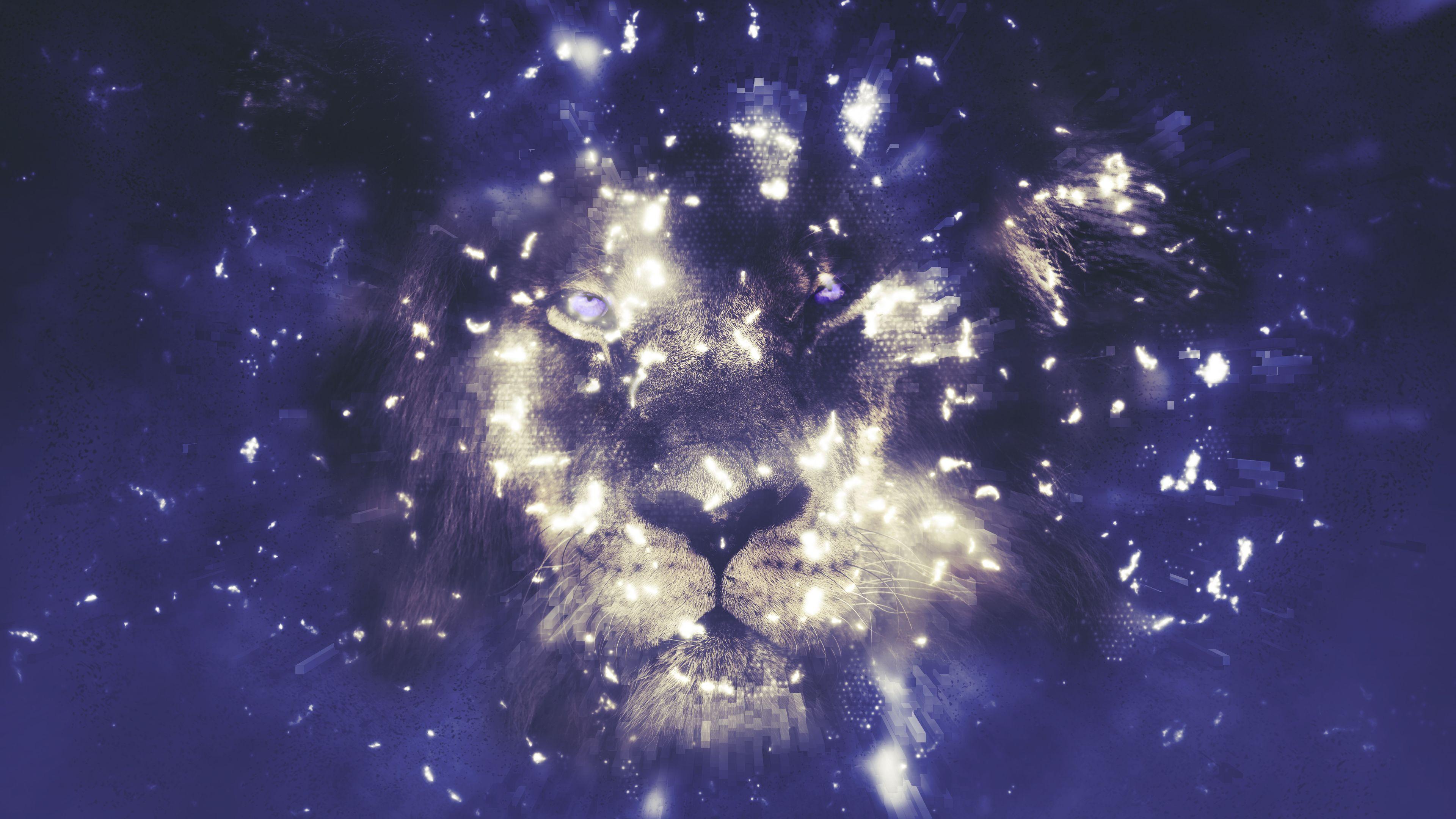 3840x2160 Digital Lion Chromebook Wallpaper