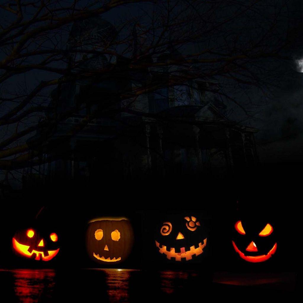 1024x1024 Mini Pumpkins Wallpaper. Ichigo Mini