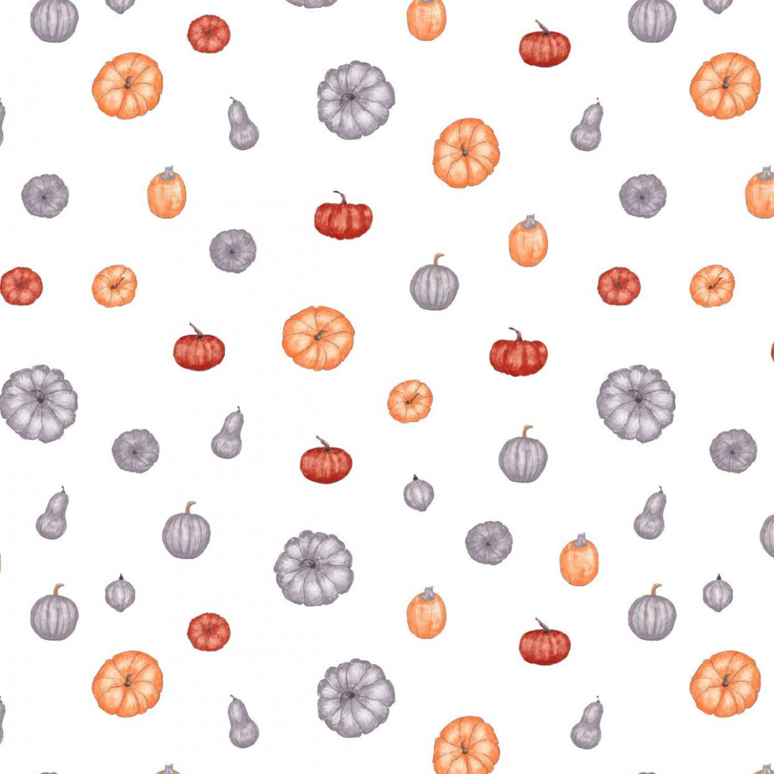 2560x2560 Free Fall iPhone Wallpaper. Pumpkin wallpaper, Desktop wallpaper