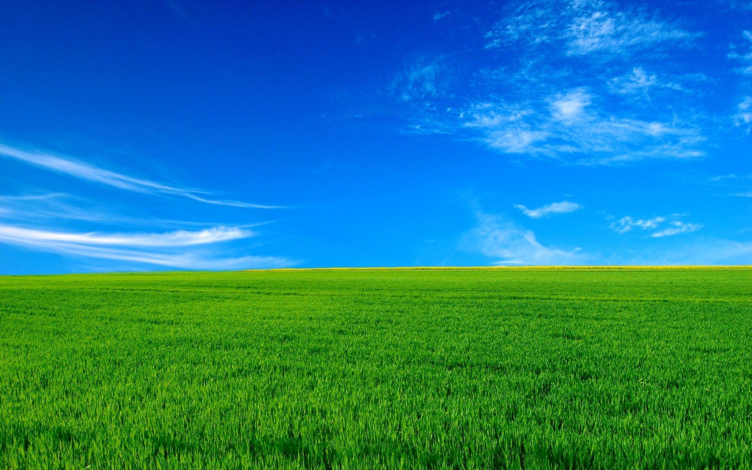 dalle mega windows xp bliss wallpaper with night time 16x size and  raw256x256 version  rsentdex