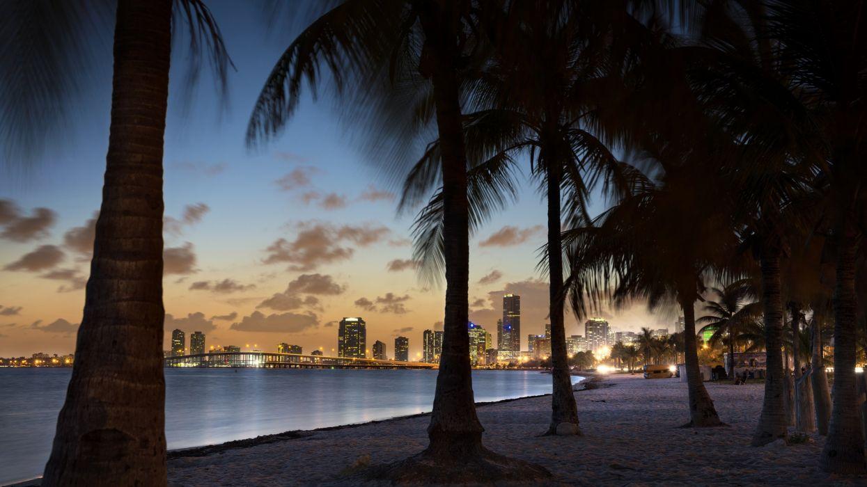 1245x700 Tropical Buildings Skyscrapers Palm Trees Beach Ocean wallpaper