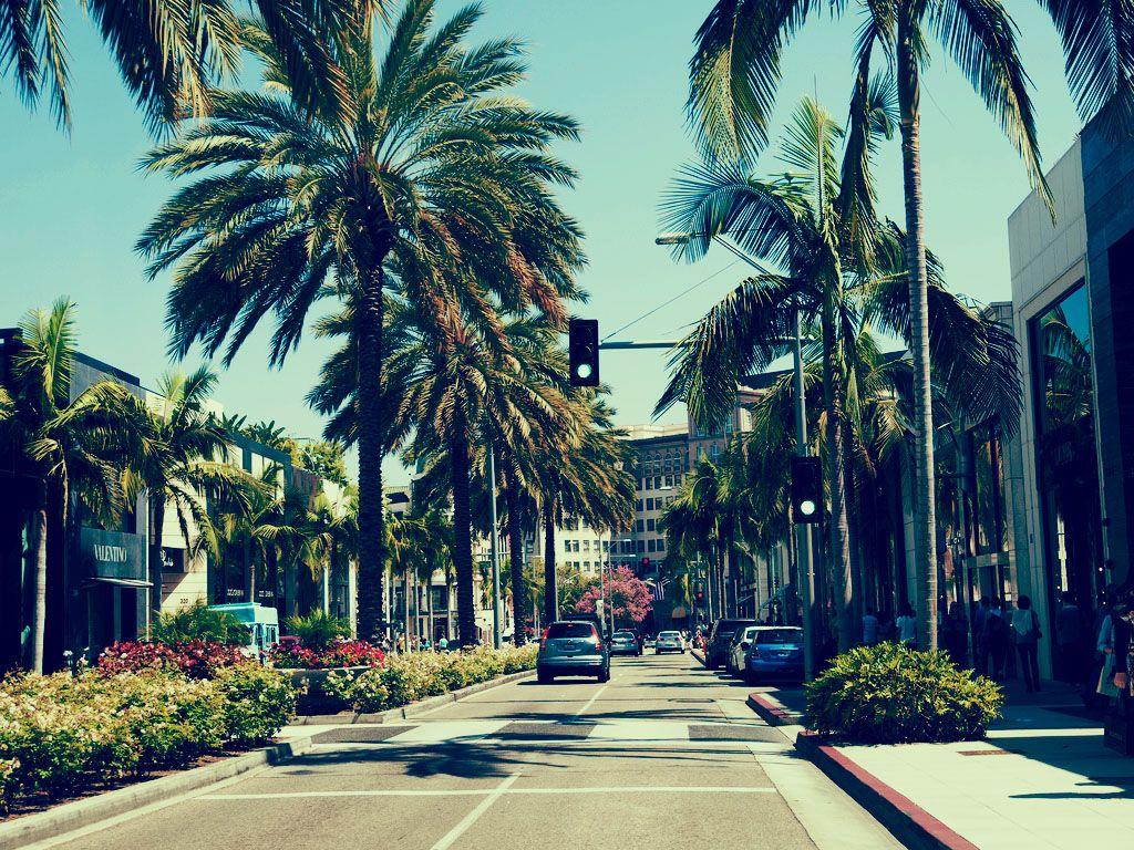 1024x768 Rodeo Drive Palm Trees