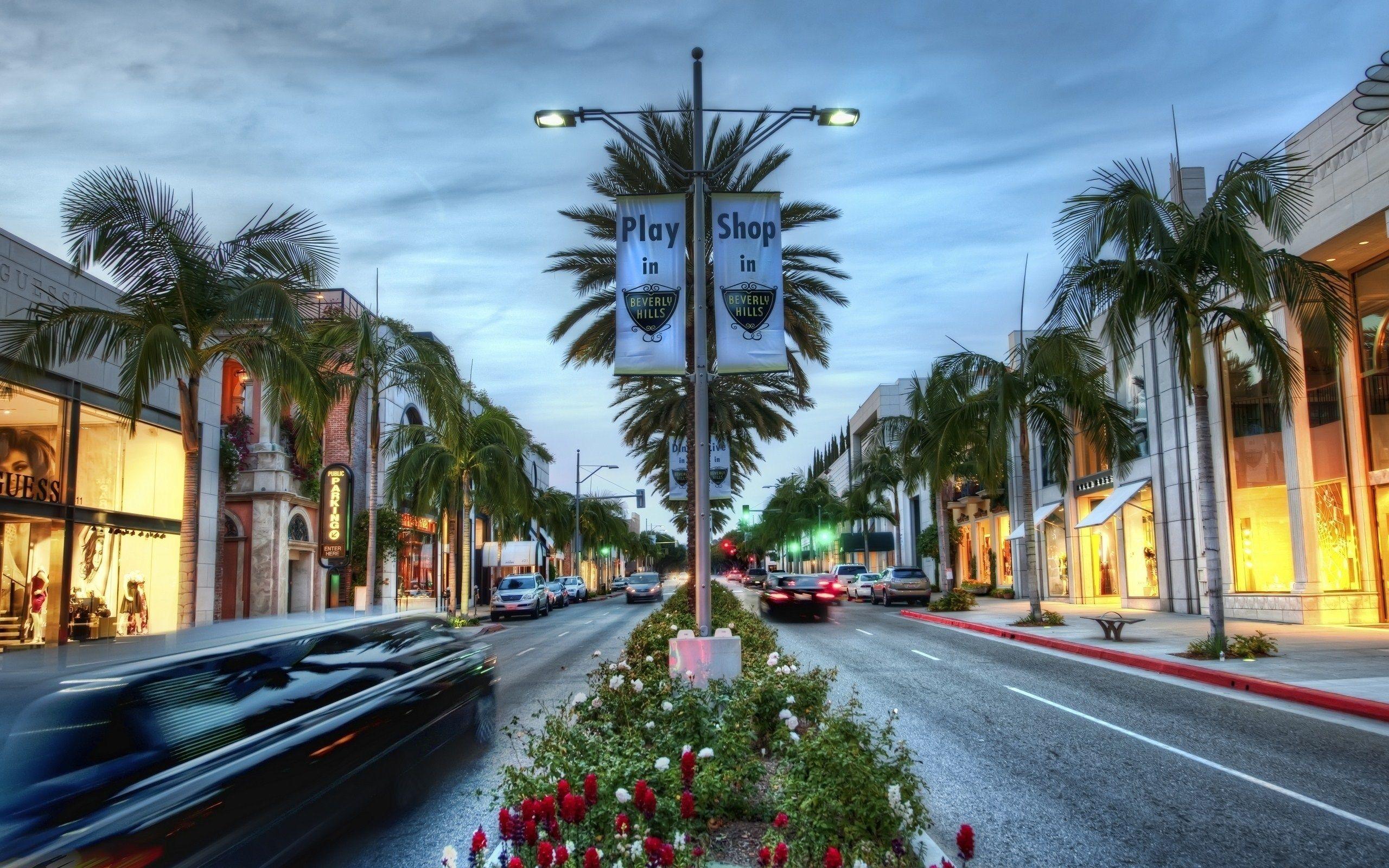 Los Angeles Palm Trees Wallpapers Top Free Los Angeles Palm Trees
