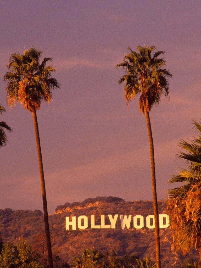 Los Angeles Palm Trees Wallpapers - Top Free Los Angeles Palm Trees ...