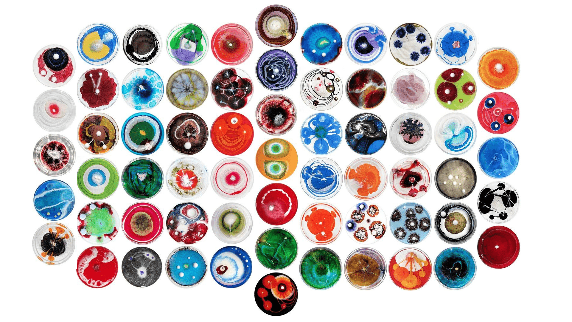 1920x1080 I Edited The Petri Dishes Of U Imsozzy Into A Wallpaper 1920x1080