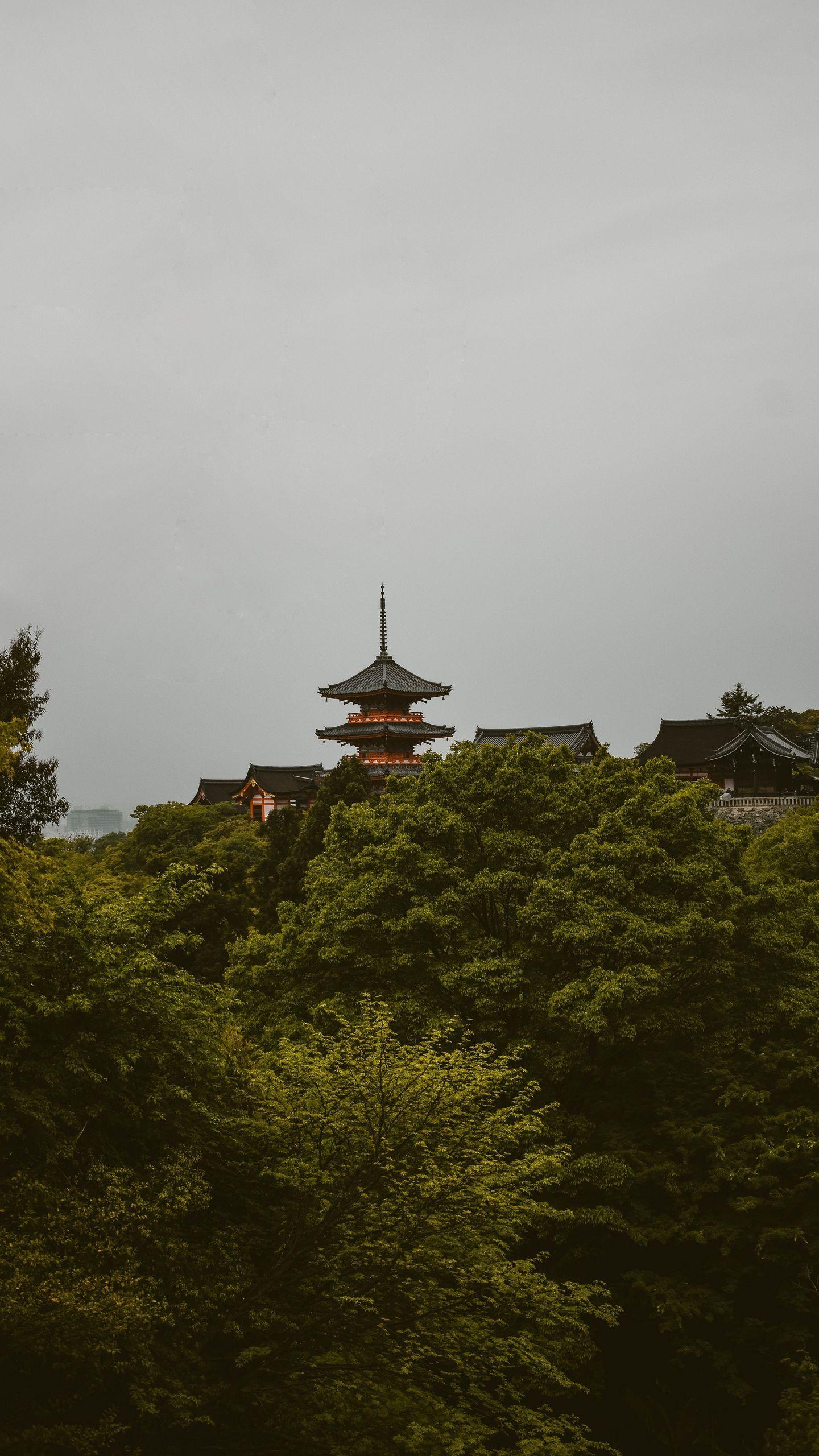 1440x2560 Download wallpaper 1440x2560 pagoda, trees, architecture, kyoto