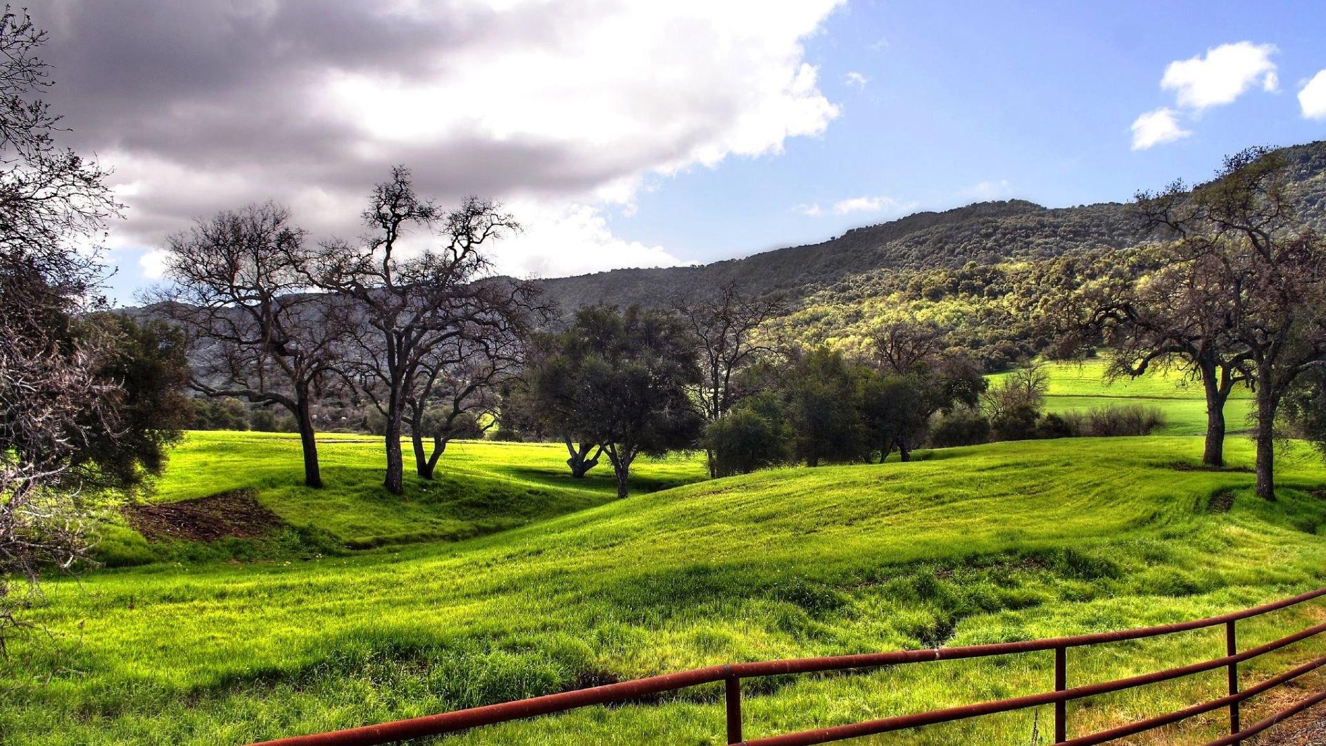 1920x1080 Spring Countryside Wallpaper