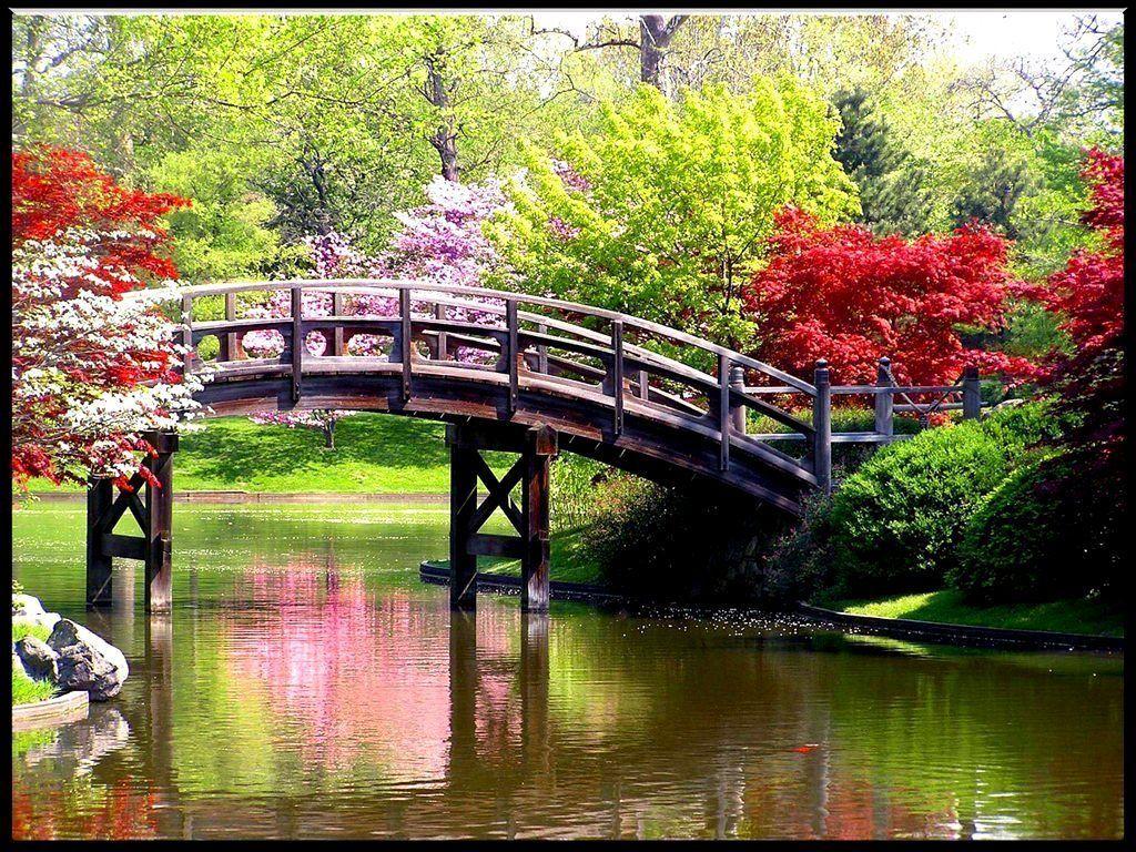 1024x768 Free Desktop Background For Spring: Beautiful