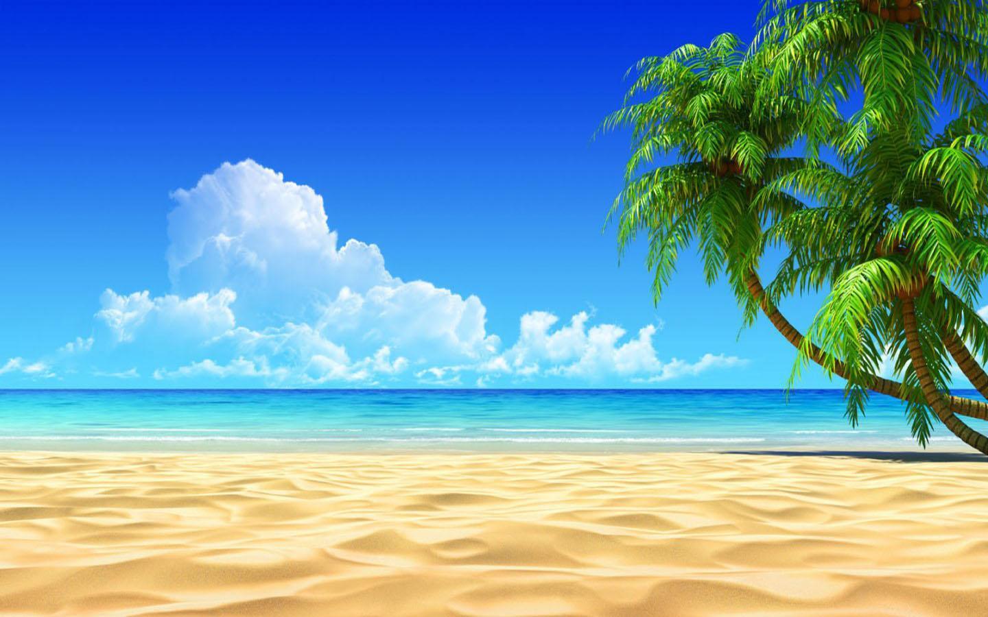 1440x900 Summer Beach Wallpaper for Android