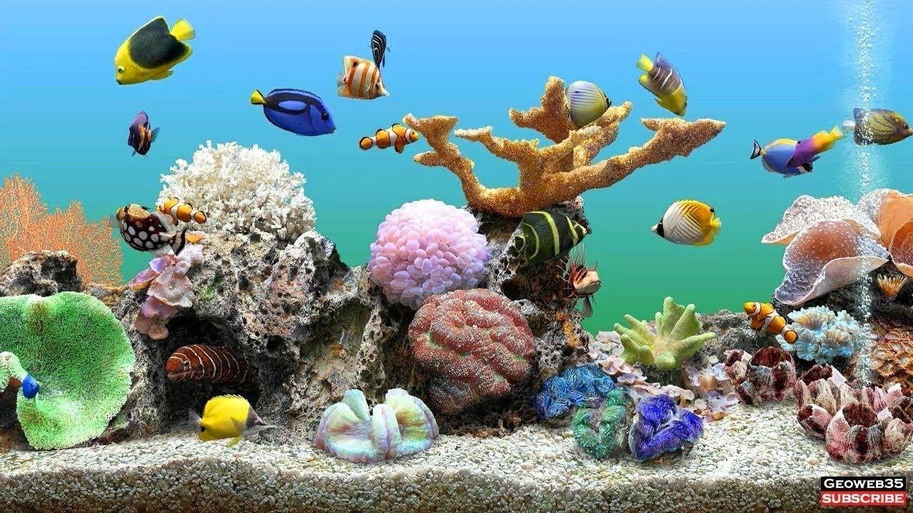 best aquarium screensavers for windows 10