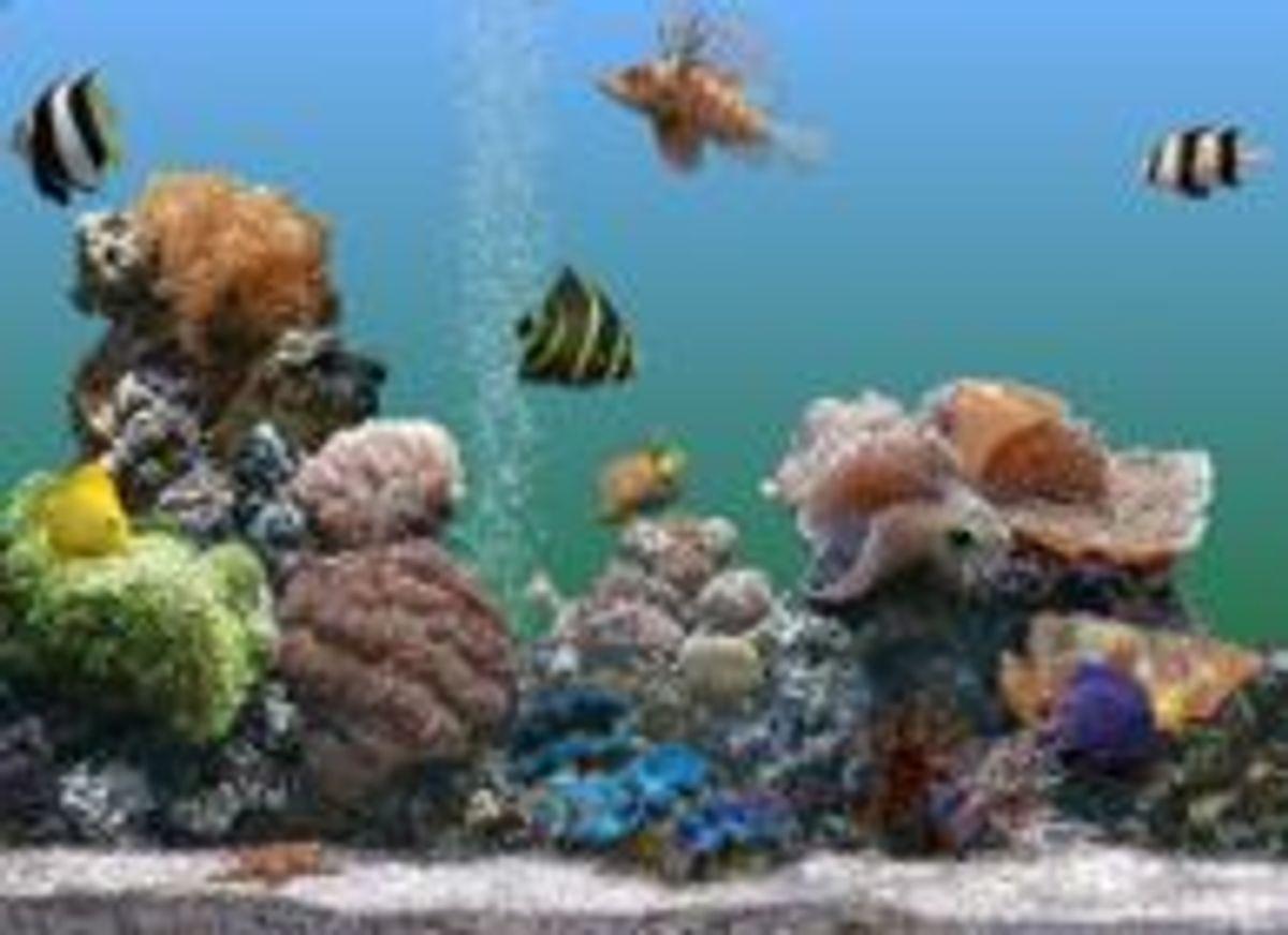 1200x872 Aquarium screensaver