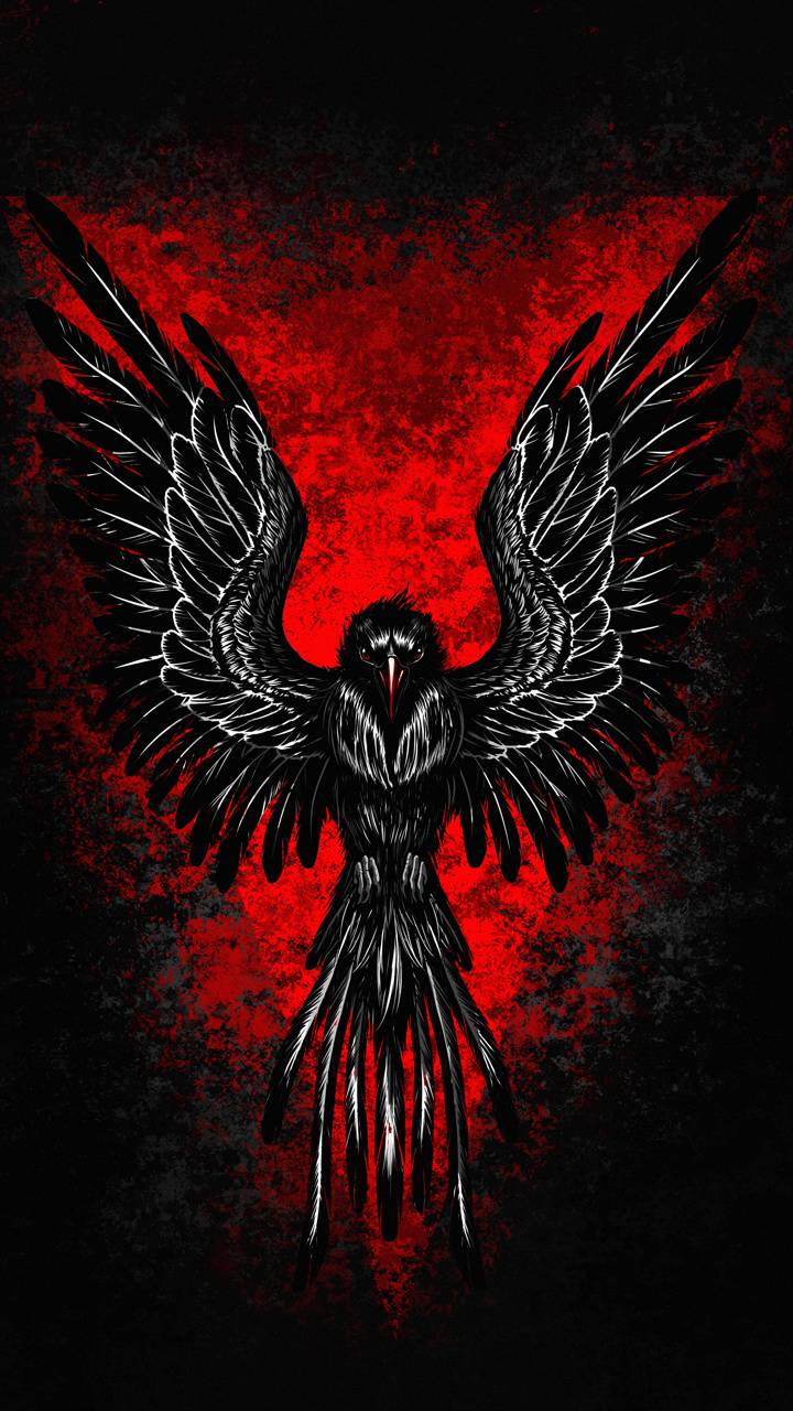 720x1280 Eagle wallpaper