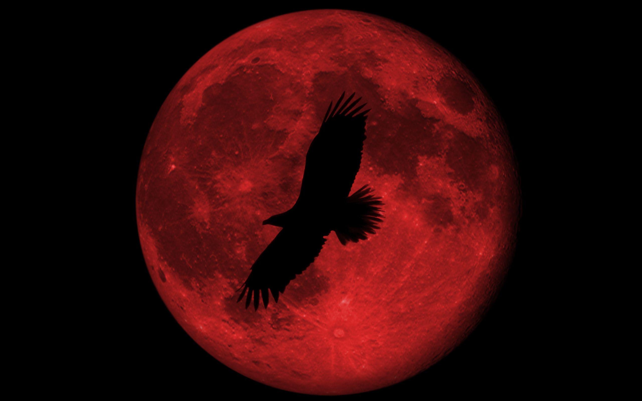 2560x1600 Free download Blood Red Moon Png Blood red moon pics 2560x1600