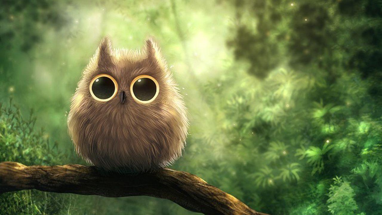1280x720 Cute Owl Wallpaper