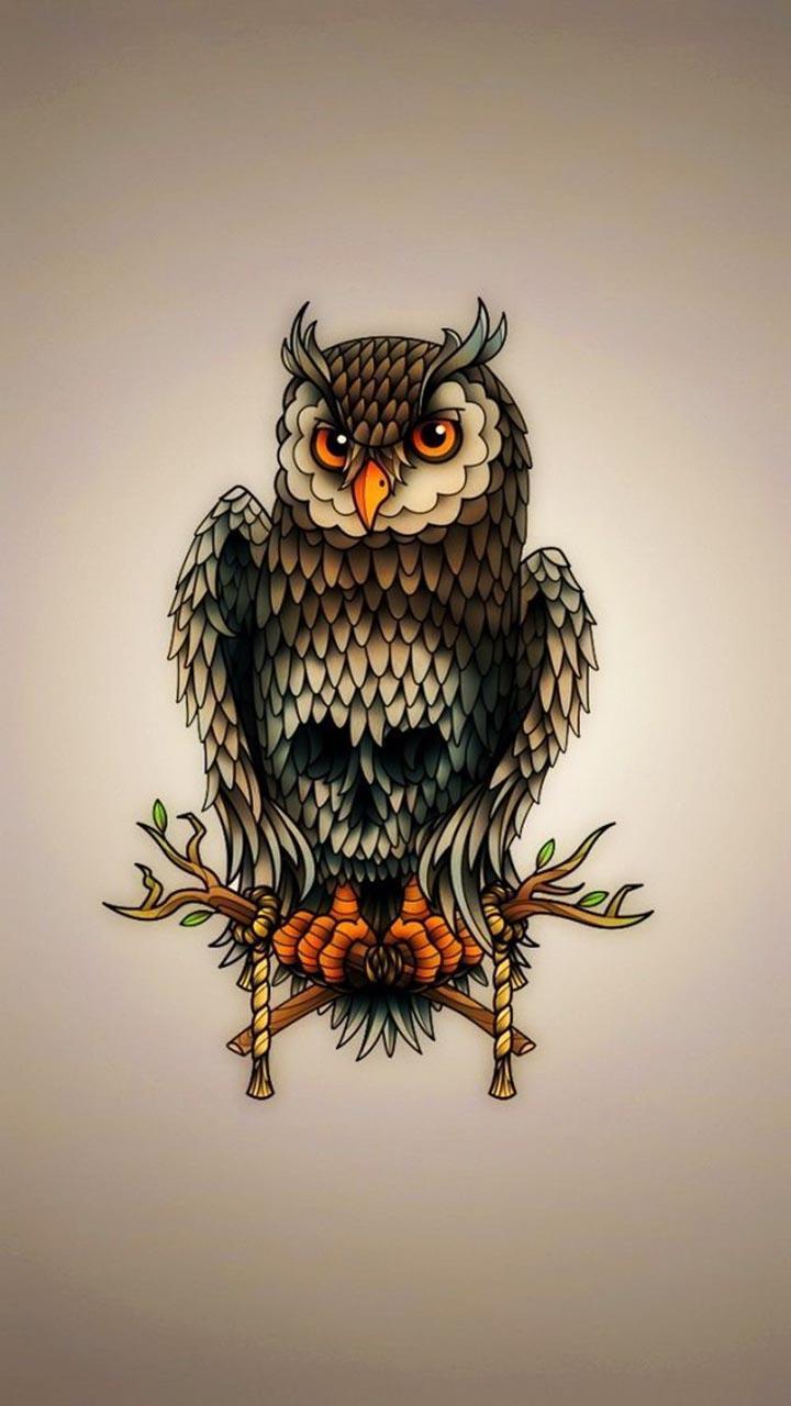 720x1280 Owl Wallpaper (4K Ultra HD) for Android