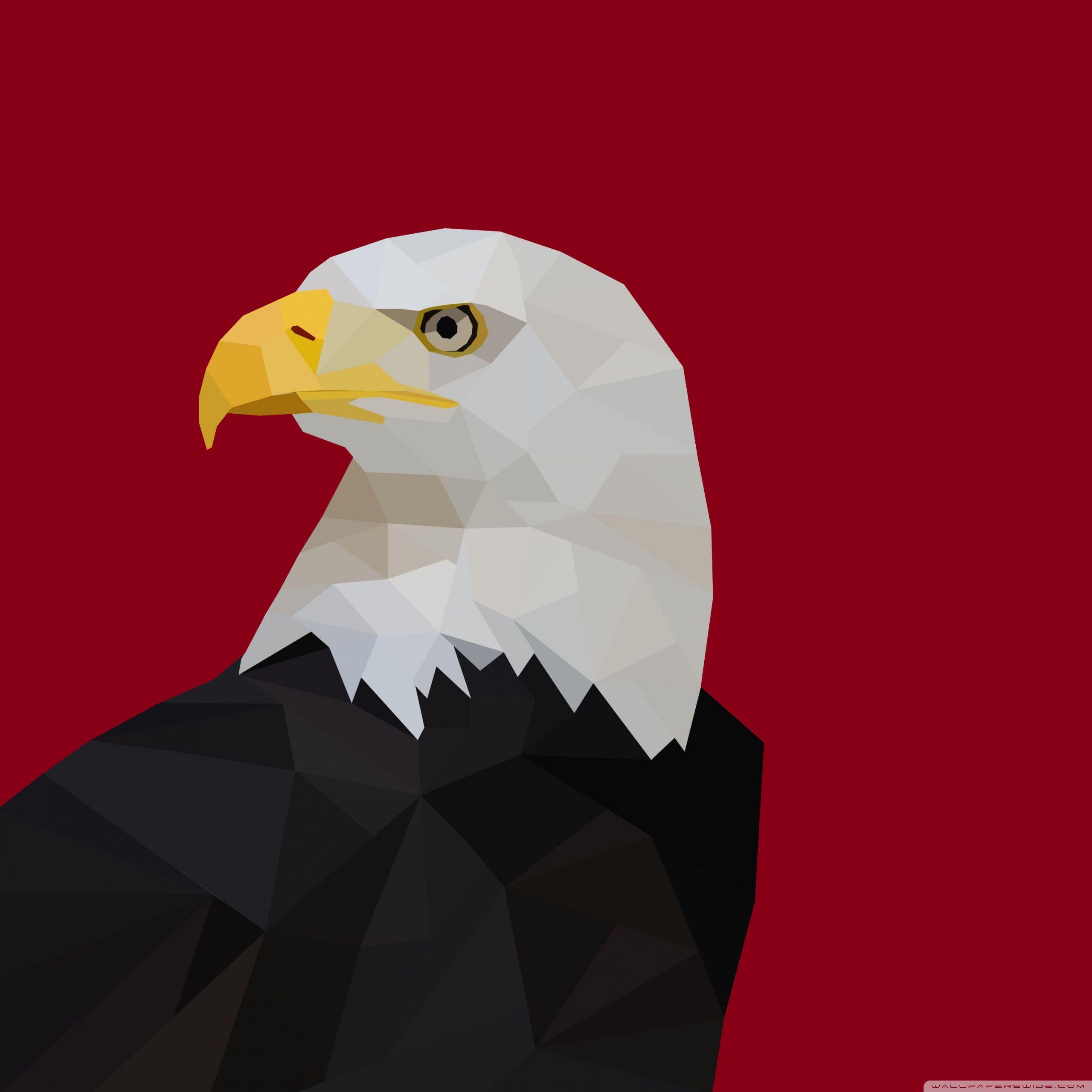 2560x2560 Bald Eagle Polygon Ultra HD Desktop Background Wallpaper for 4K