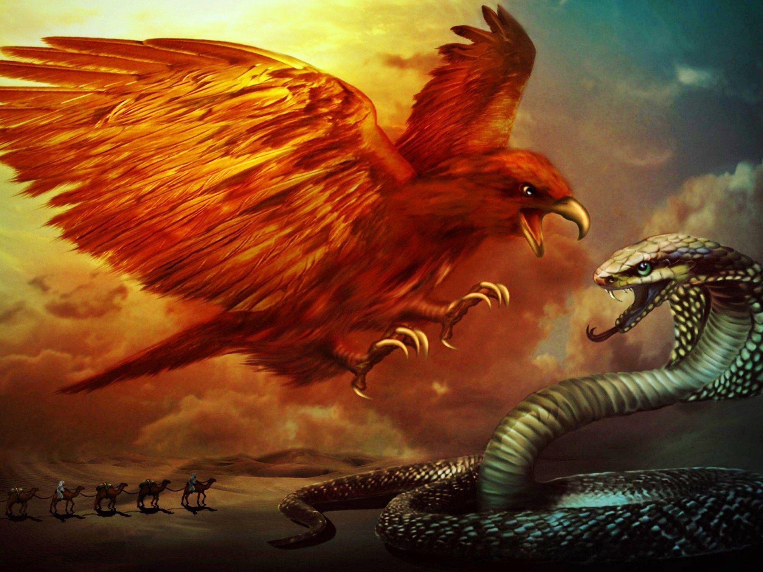 2560x1920 Eagle and Cobra wallpaperx1920