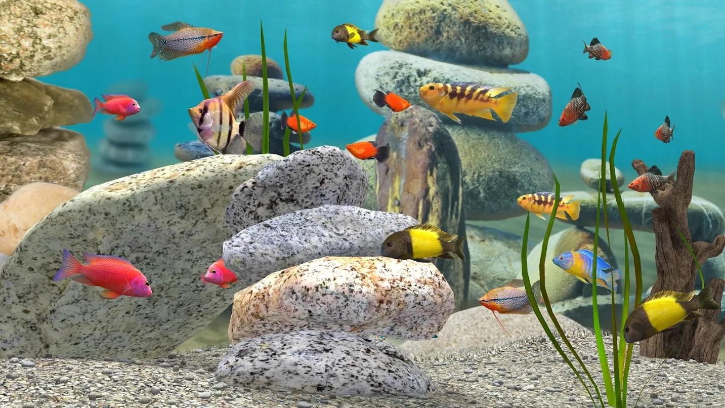 best aquarium screensaver roku best aquarium screensaver roku