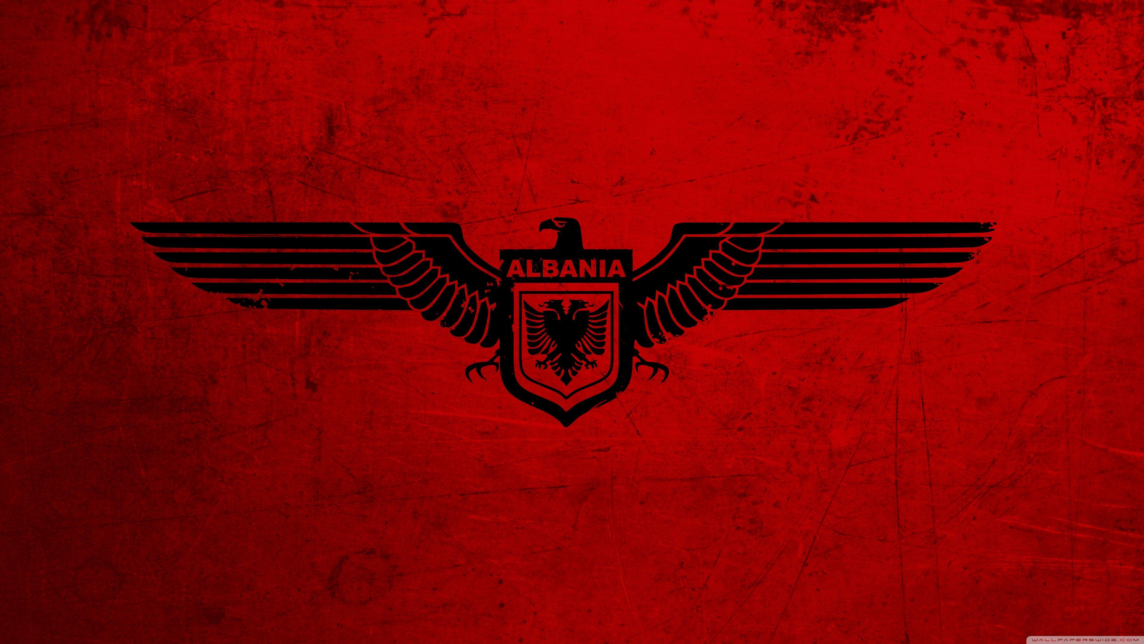 3840x2160 Albanian Eagle Wallpaper