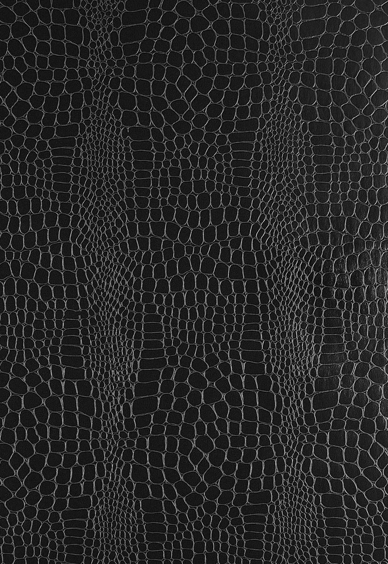 800x1163 Schumacher Wallpaper 5005834 Crocodile Jet