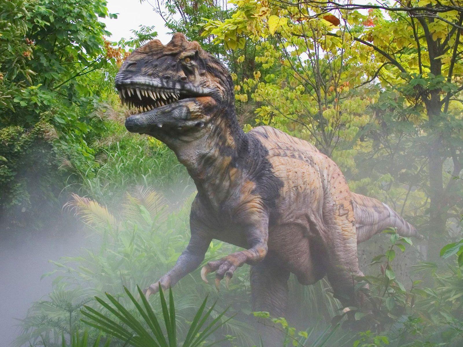 1600x1200 We Love Nature And Creatures: Dinosaurs HD Wallpaper and Facts