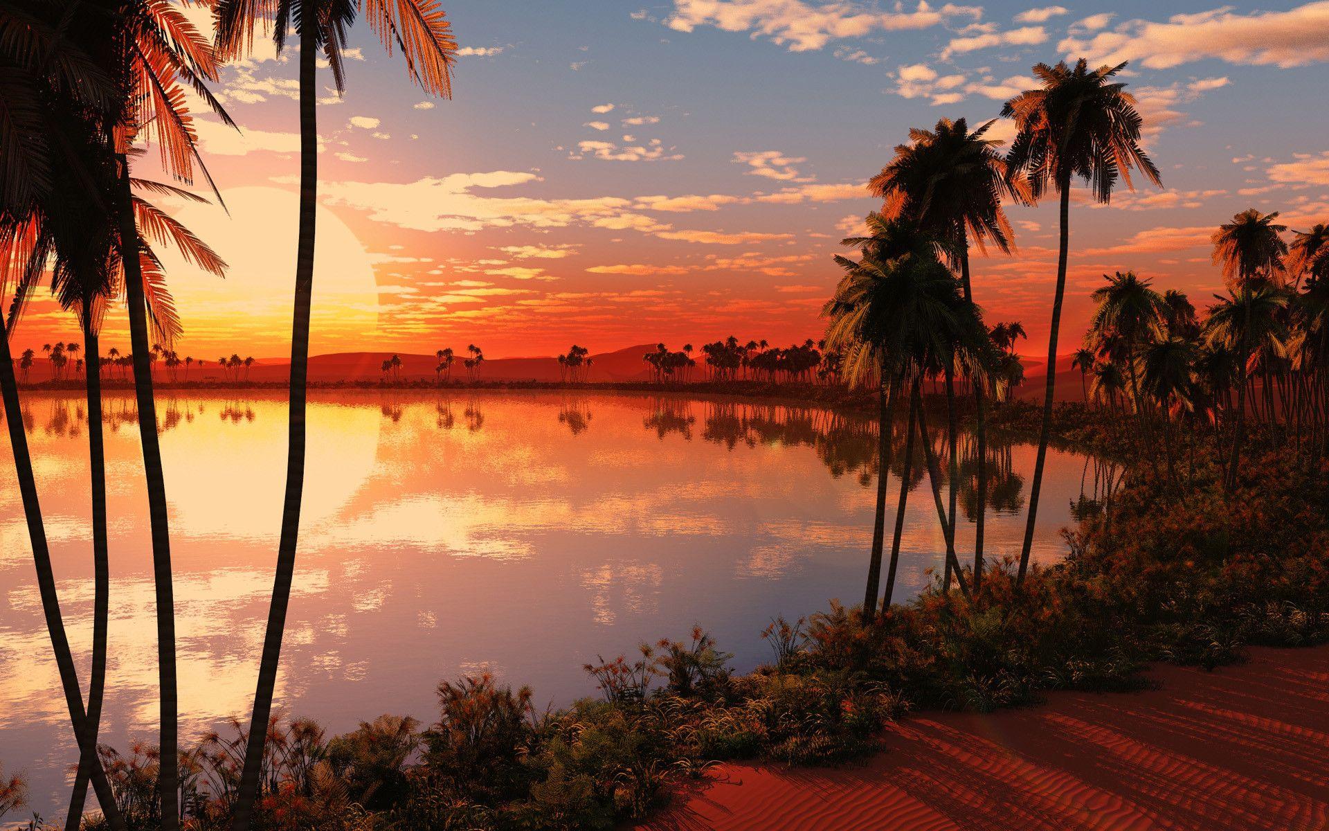 1920x1200 Africa Wallpaper