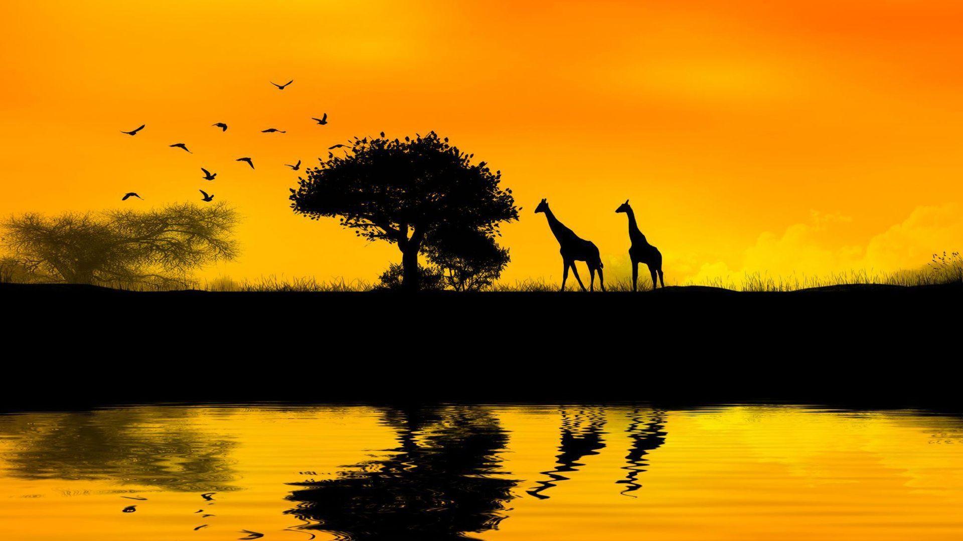 1920x1080 Africa Wallpaper