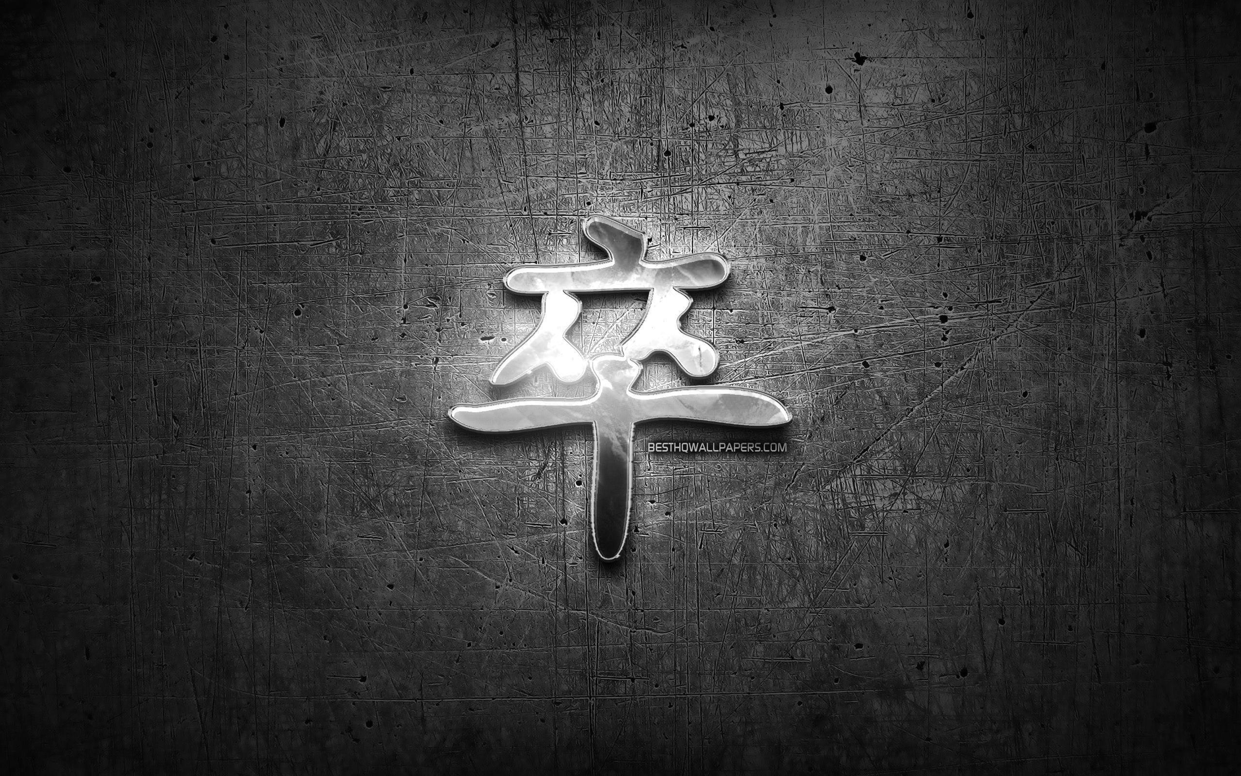 2560x1600 Download wallpaper Soldier Kanji hieroglyph, silver symbols