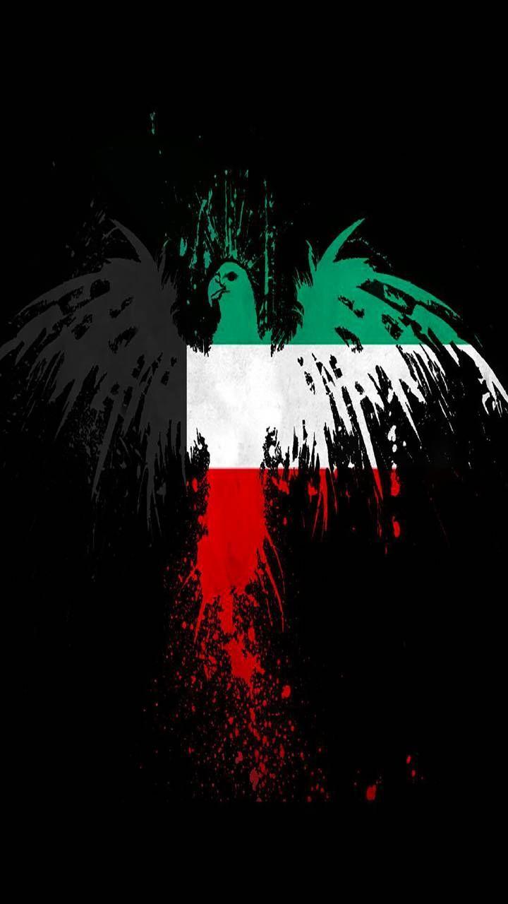 Kuwait Flag Wallpapers Top Free Kuwait Flag Backgrounds WallpaperAccess