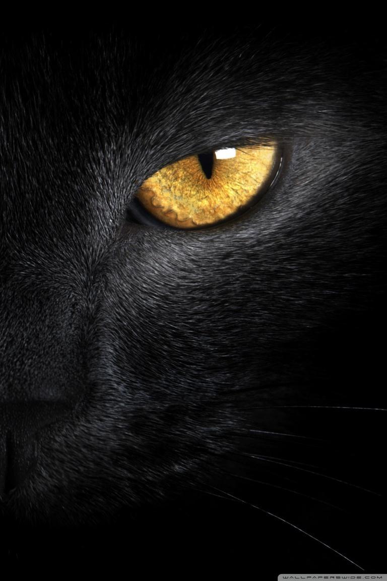 768x1152 Eyes Yellow Wallpaper