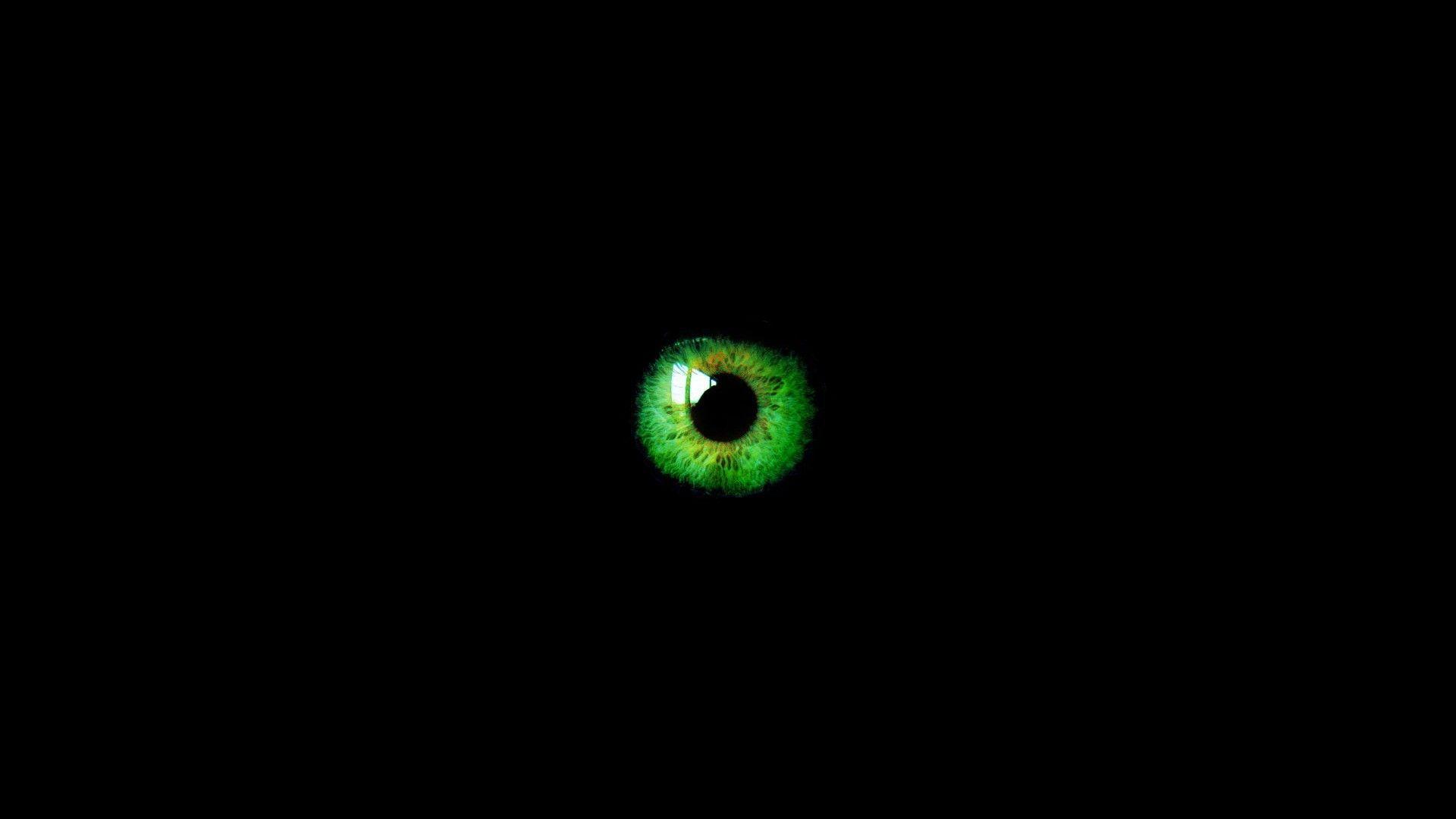 1920x1080 Free download Green Abstract Wallpaper 1920x1080 Green Abstract