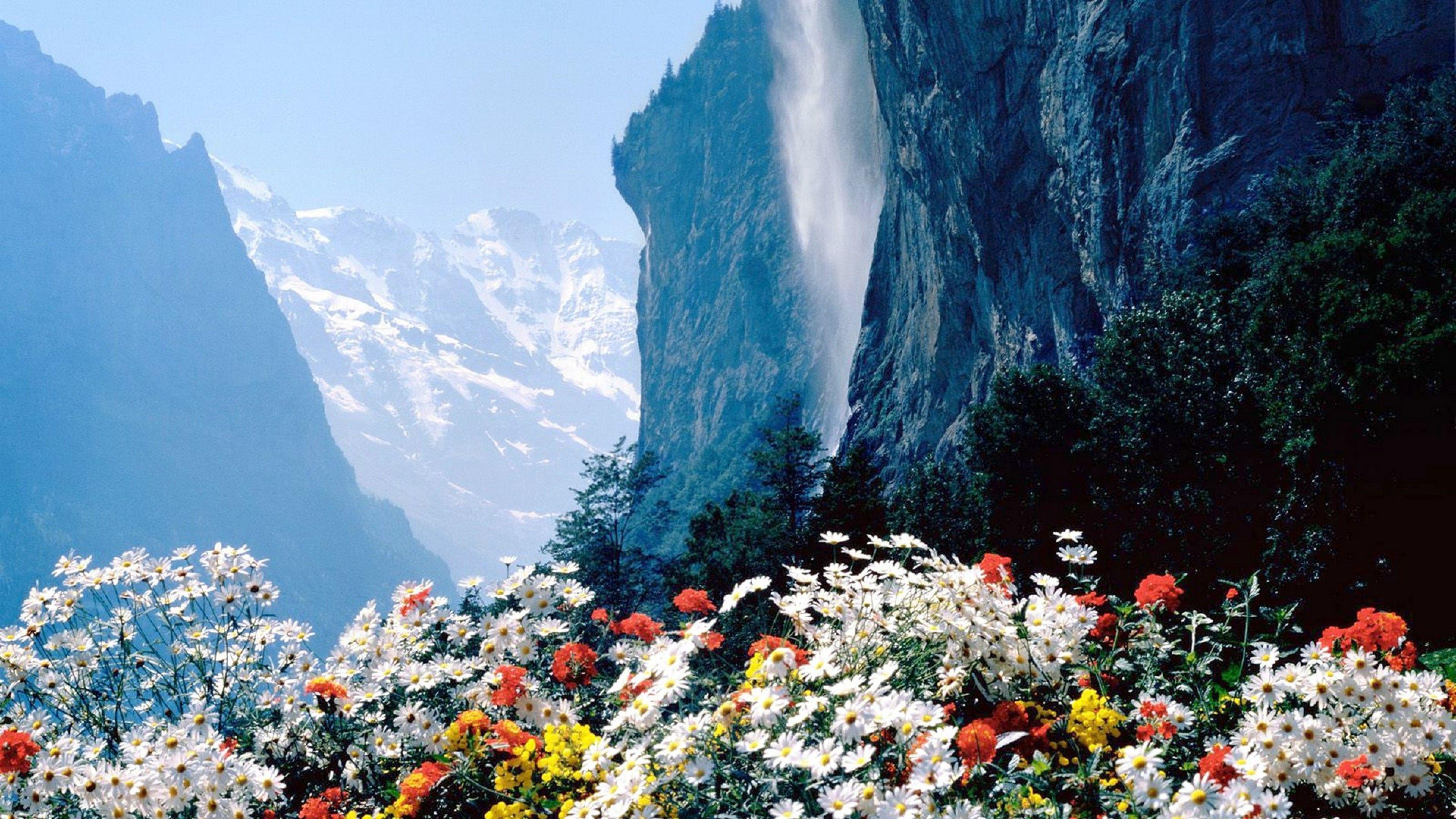 Flower Mountain Wallpapers Top Free Flower Mountain Backgrounds