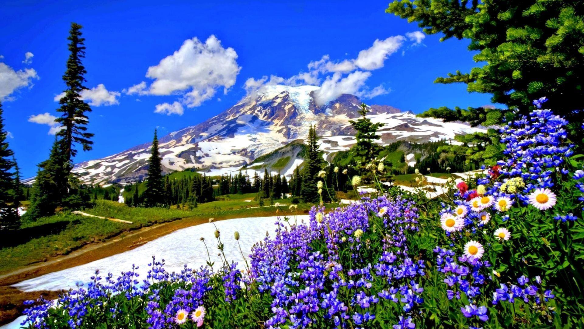 1920x1080 spring #flower #flowery #flowers #sky #mountains P #wallpaper