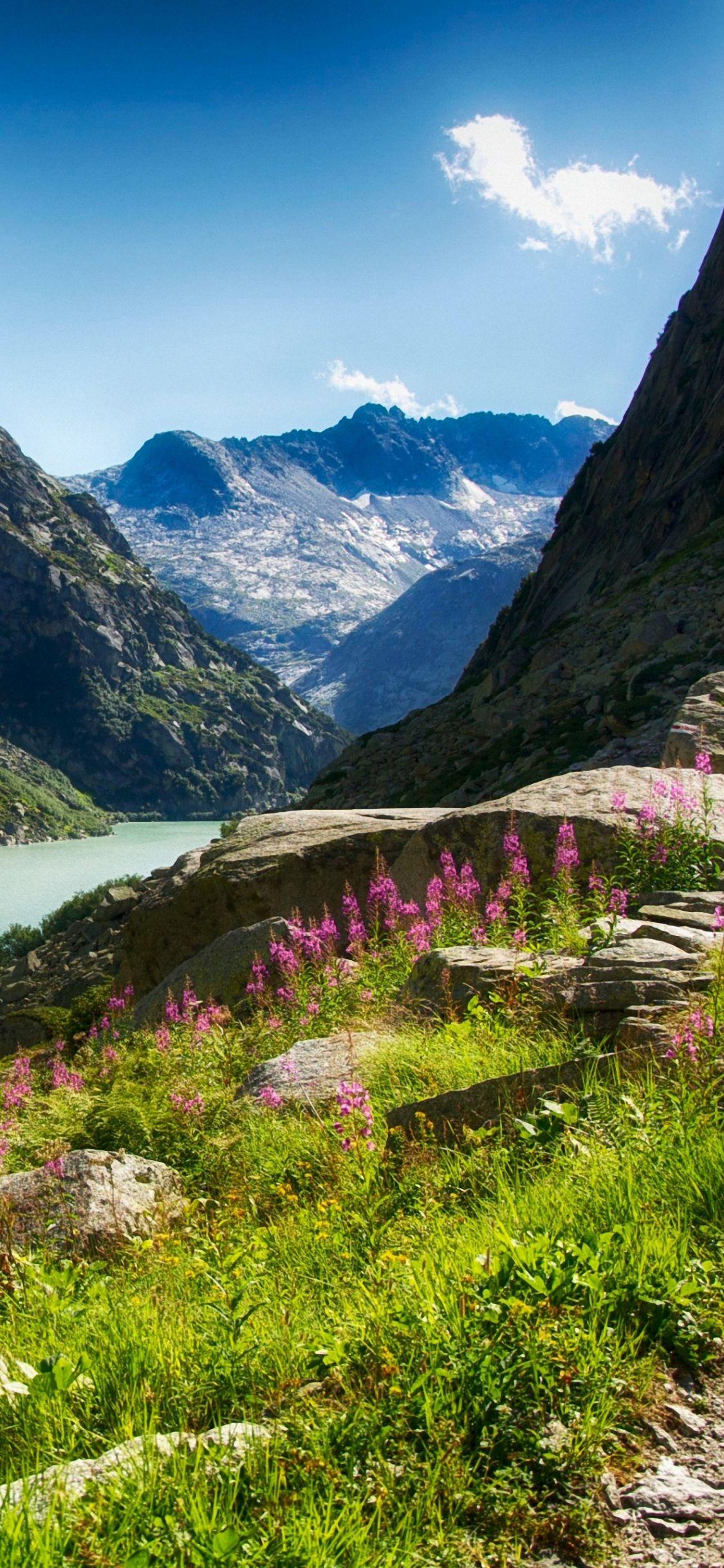 1125x2436 Free download g4 HD 1440x2560 river stone flower mountain lg g4