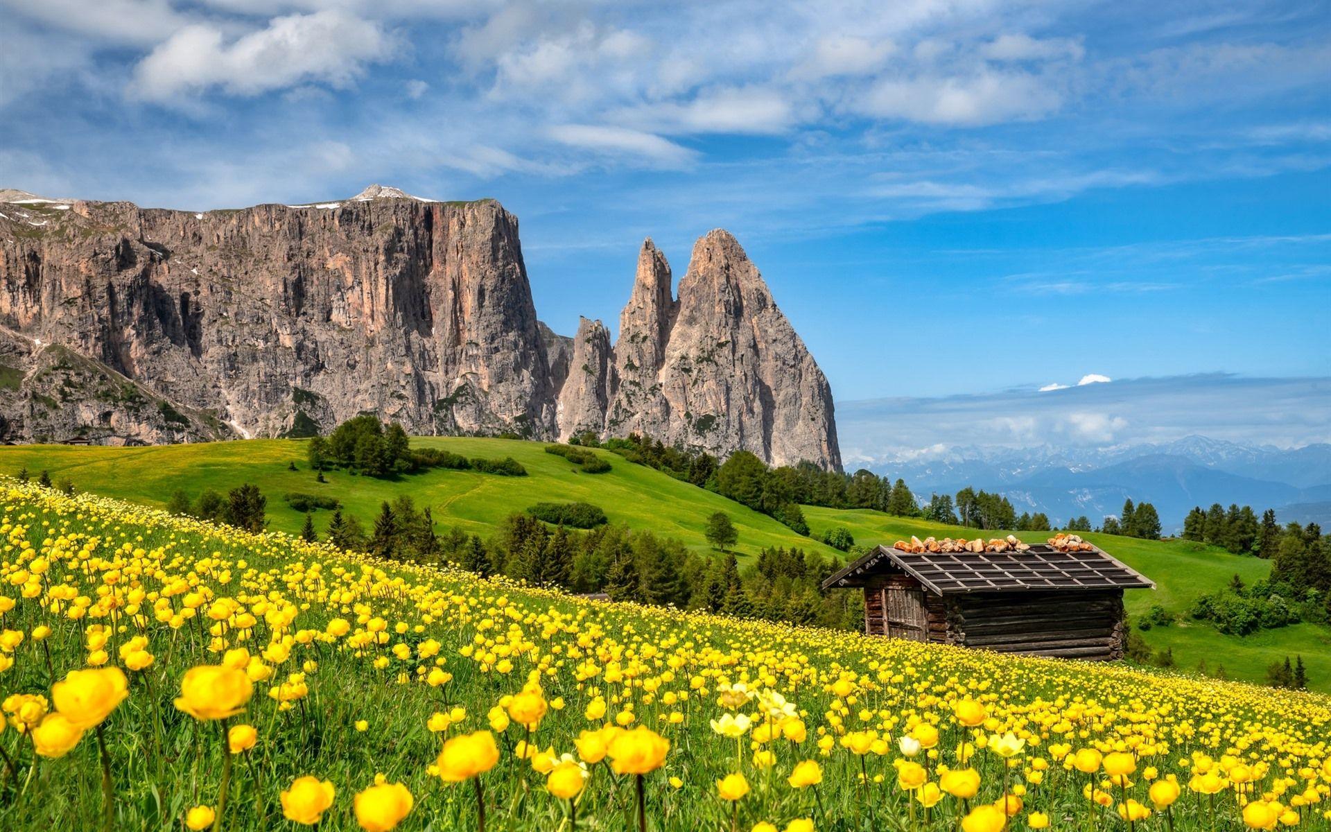 1920x1200 Wallpaper Yellow flowers, mountains, green, hut, Italy 1920x1200