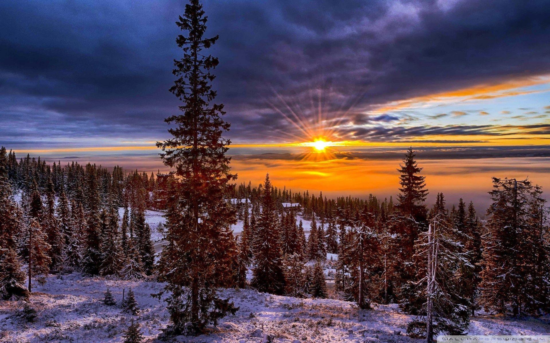 1920x1200 Norway Sunset Over Forest Ultra HD Desktop Background Wallpaper for 4K UHD TV : Tablet