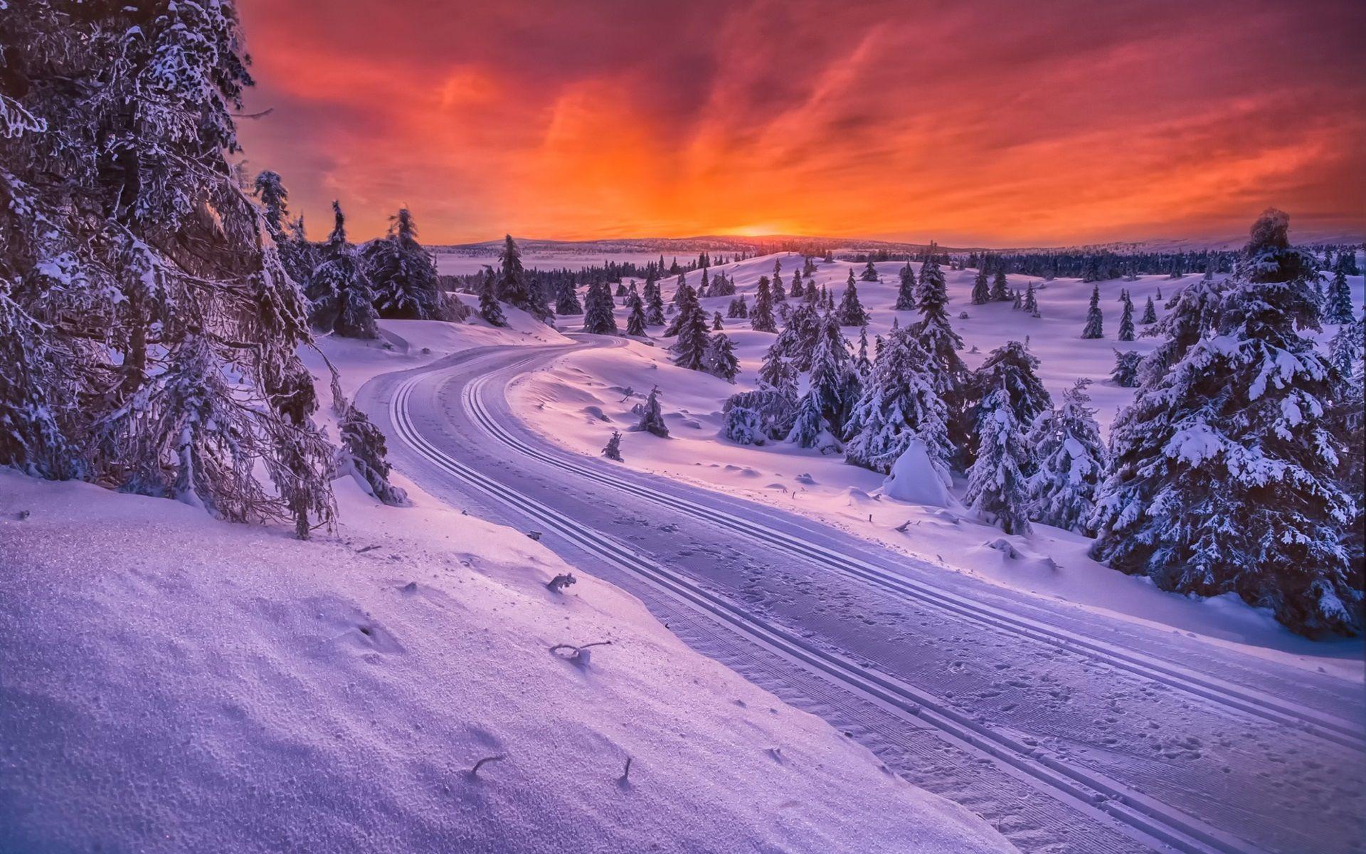 1920x1200 Wallpaper Norway, winter, snow, road, trees, sunset 1920x1200 HD Picture, Image