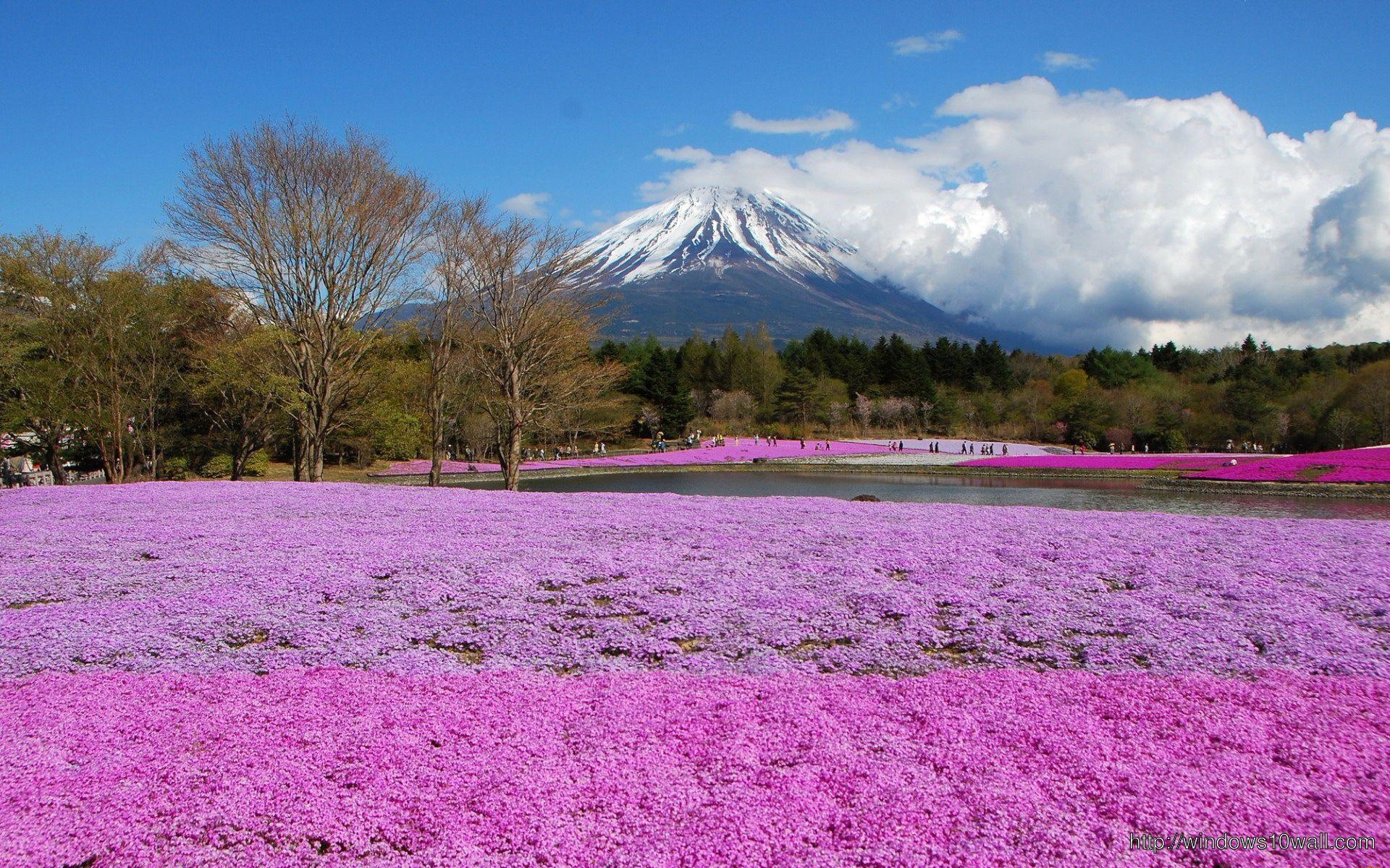 1920x1200 Pink Flower Mountain Scenery Wallpaper