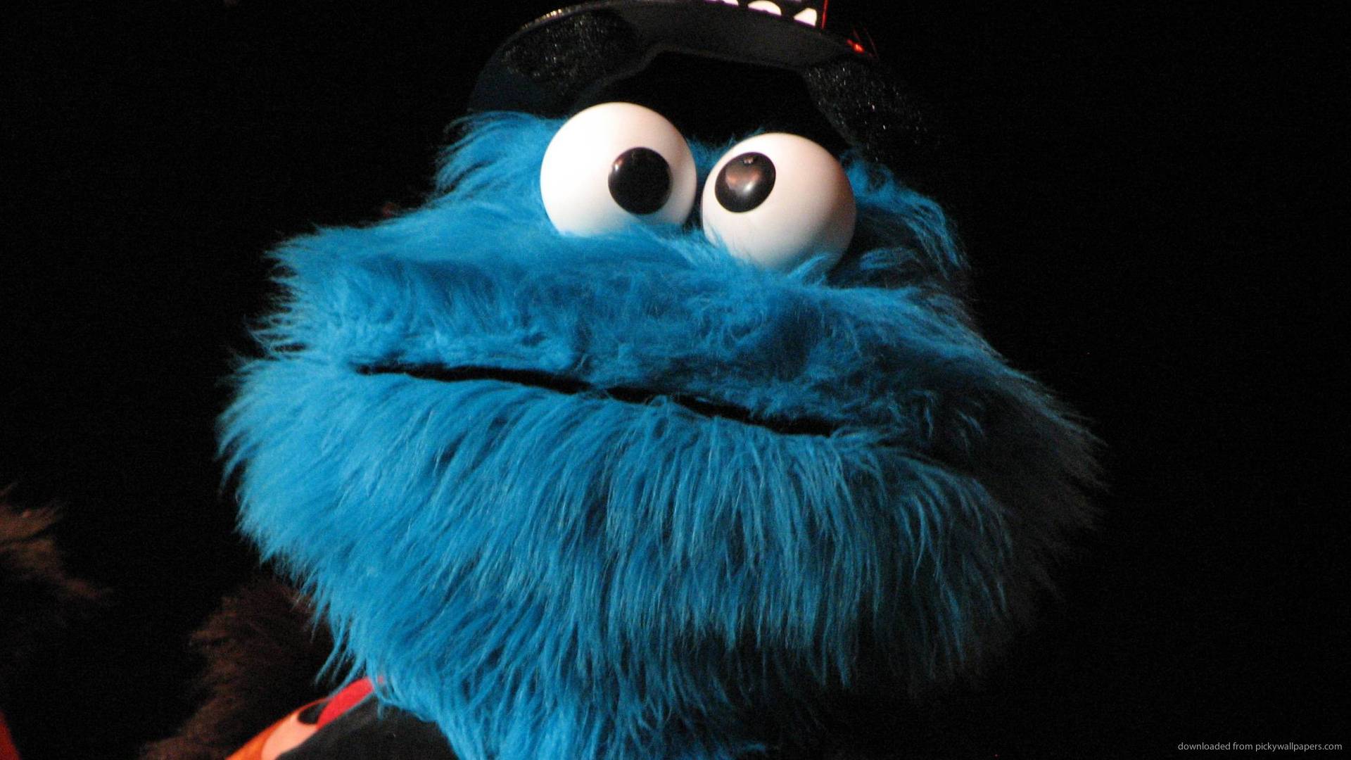 1920x1080 Cookie Monster Wallpaper