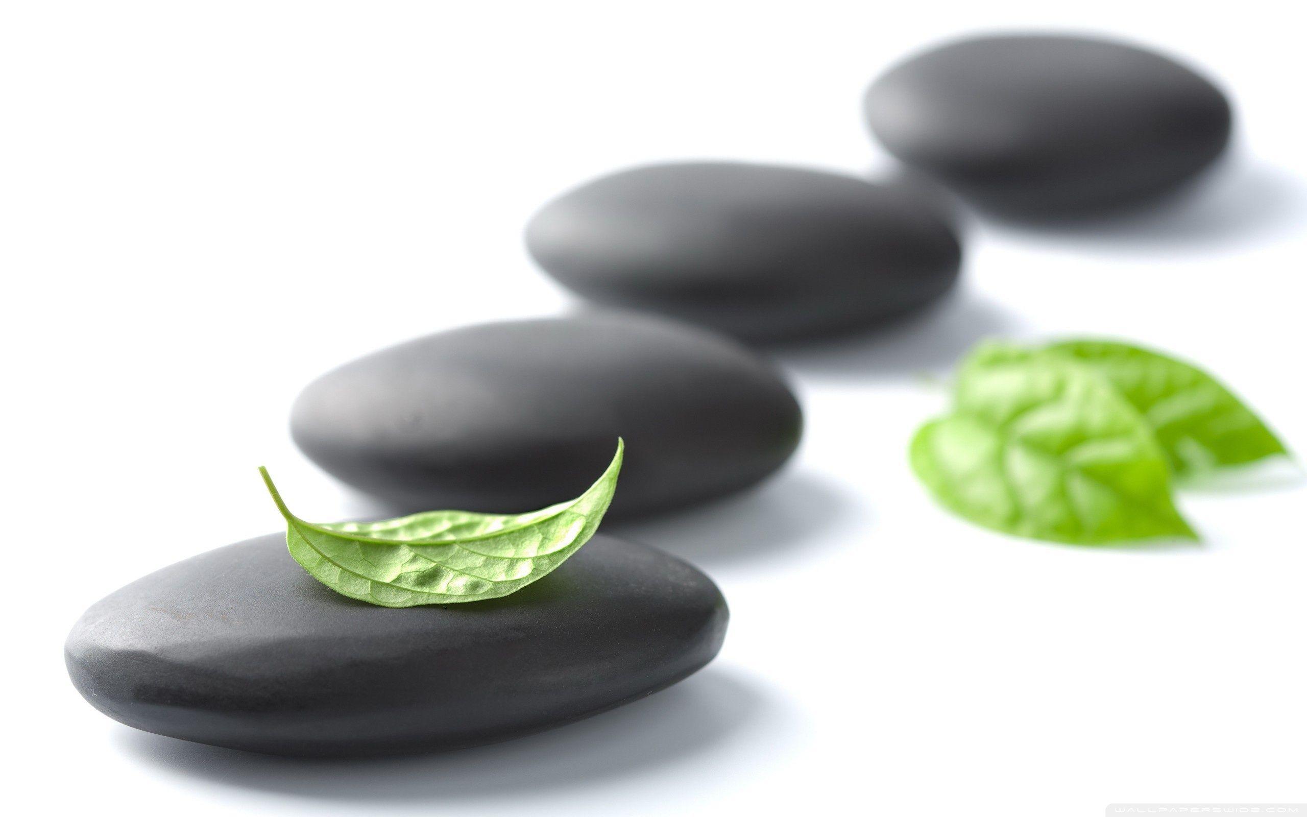 2560x1600 Hd Wallpaper Zen Wallpaper Finding The Being Within 2560x1600