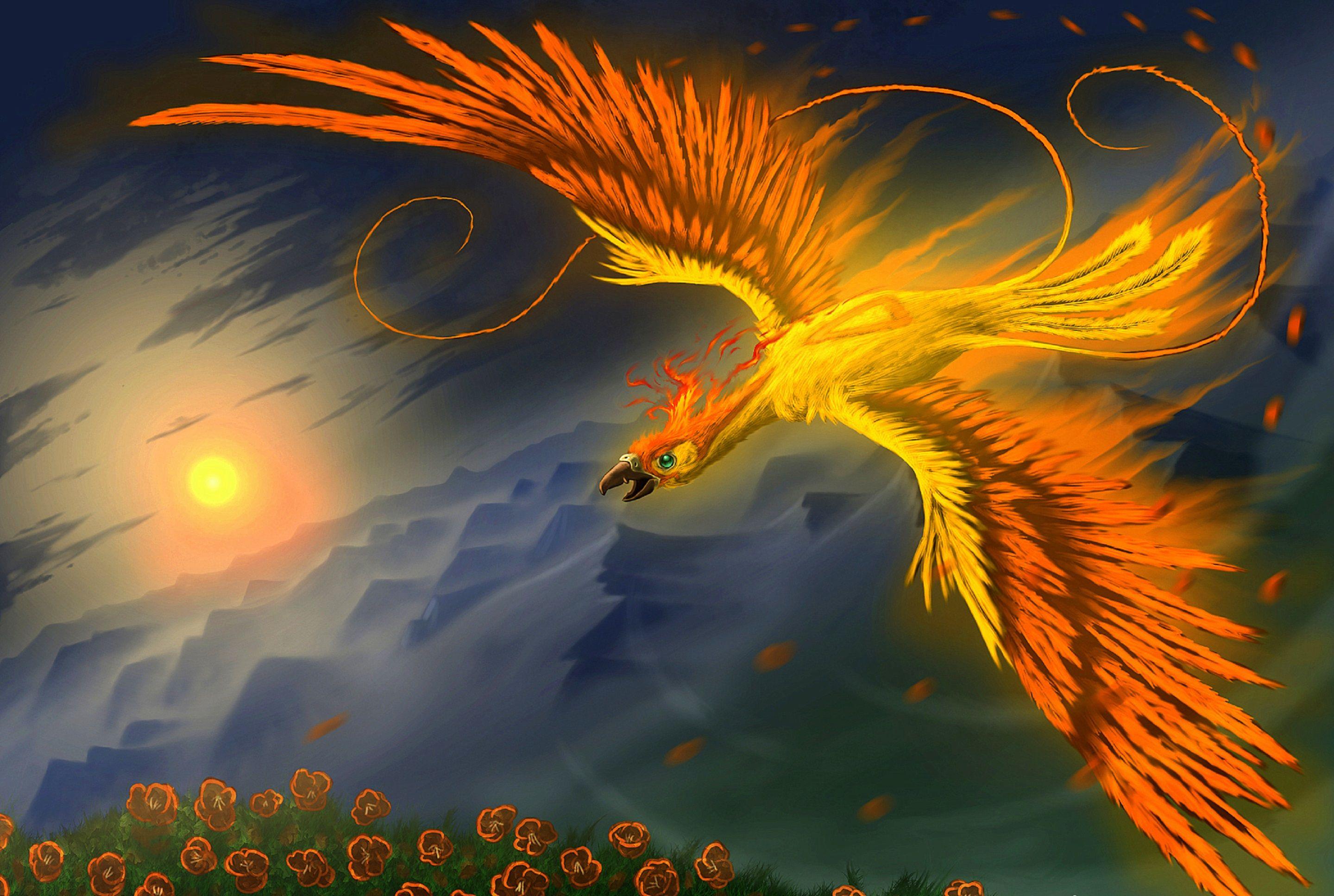 phoenix bird wallpaper｜TikTok Search