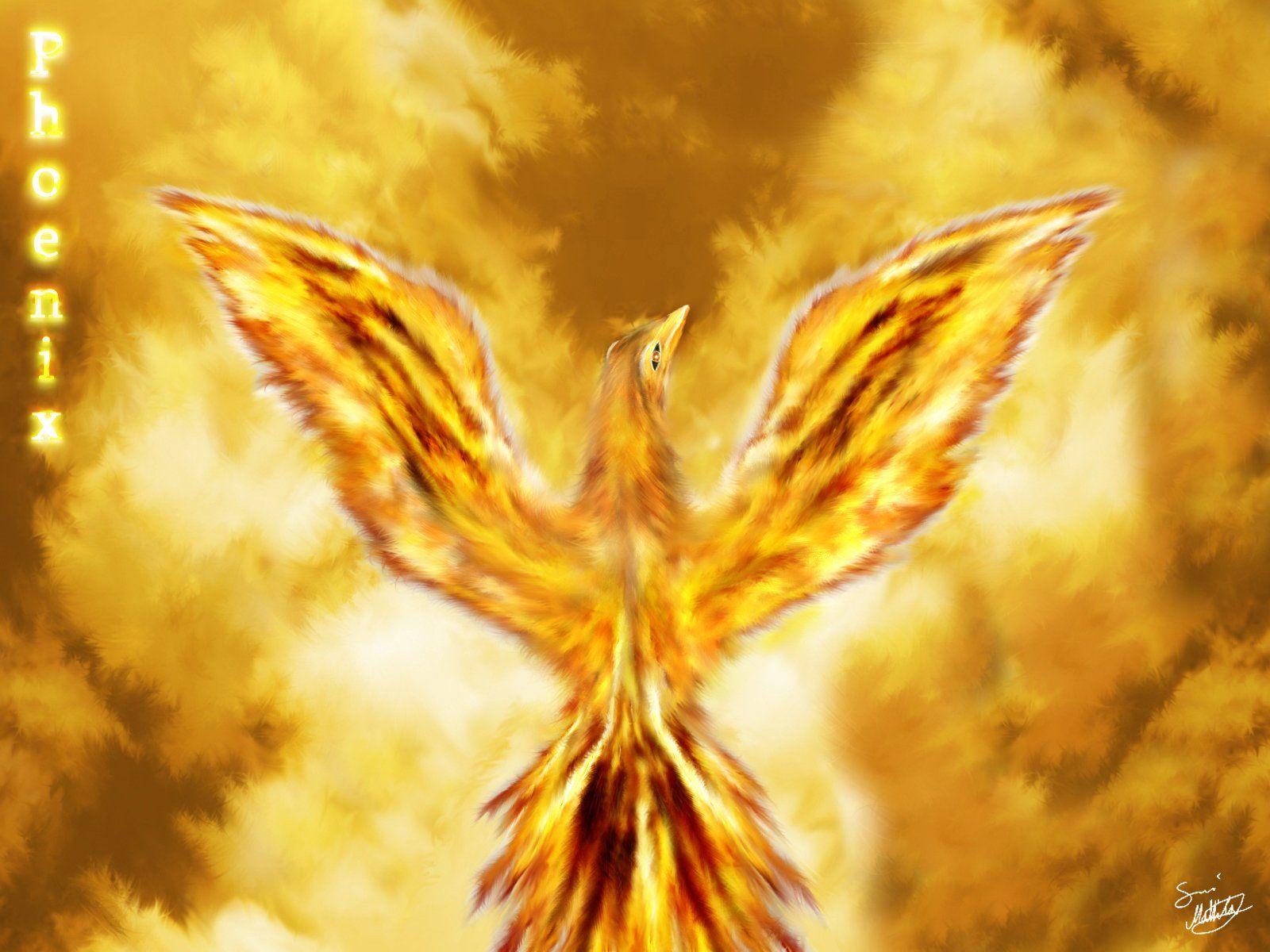 1600x1200 Fantasy Phoenix Wallpaper and Background Imagex1200