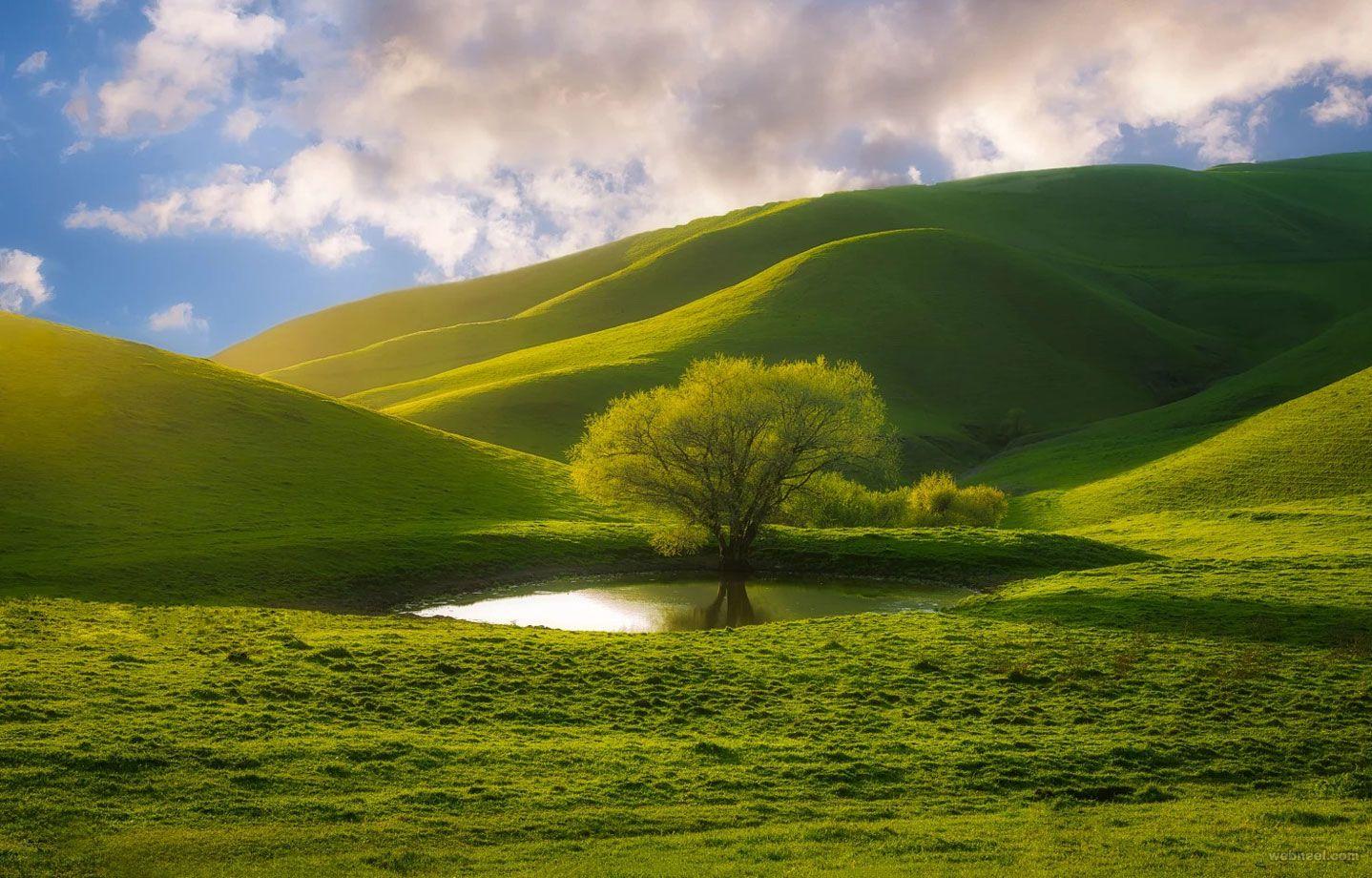 1438x920 Beautiful Nature Photography examples from famous photographers