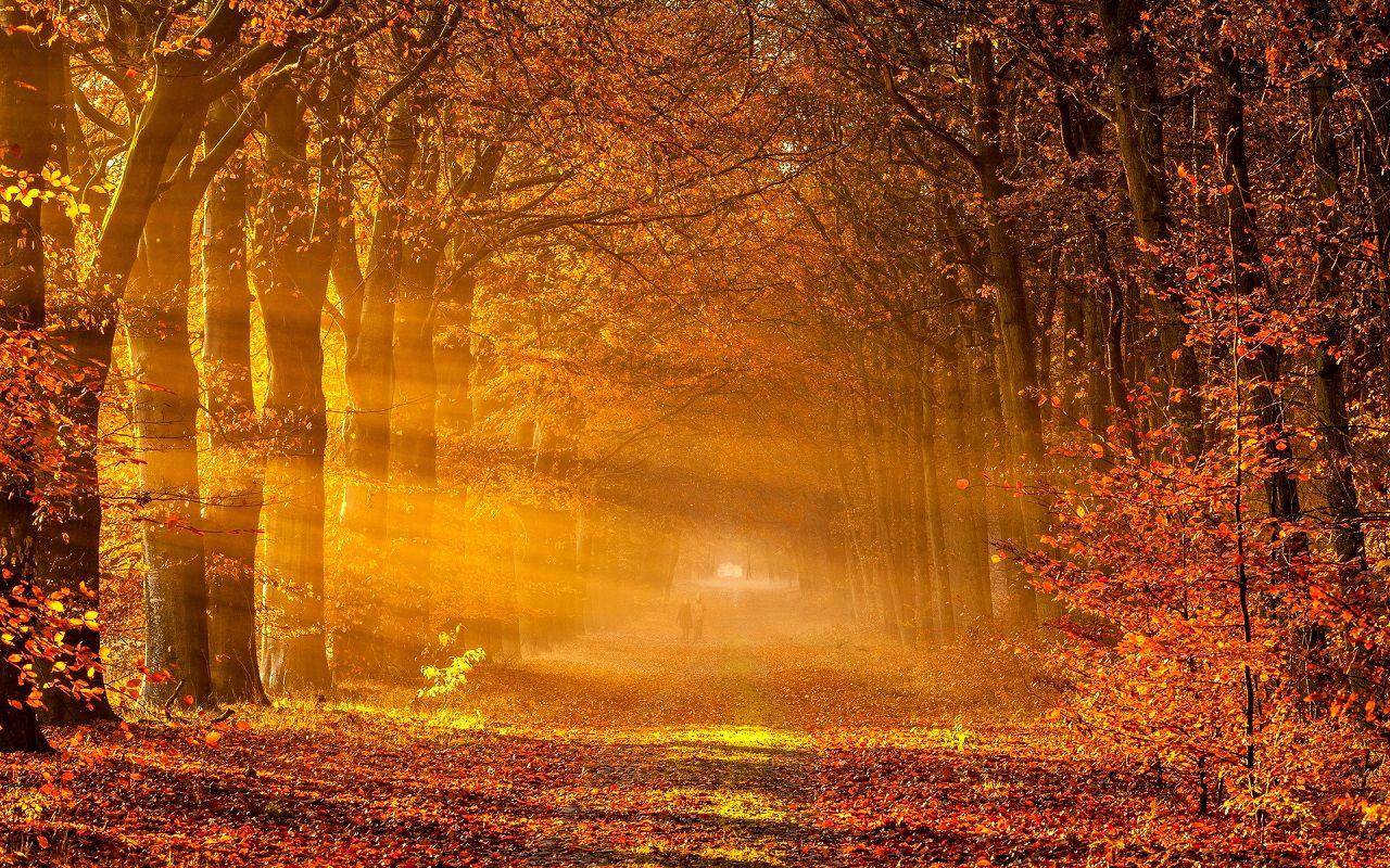 1280x800 Autumn Wallpaper. Autumn Wallpaper, Best